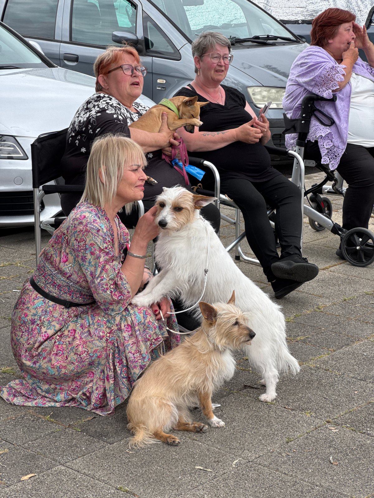 Dog show event documented by witnesses in Bar, Montenegro