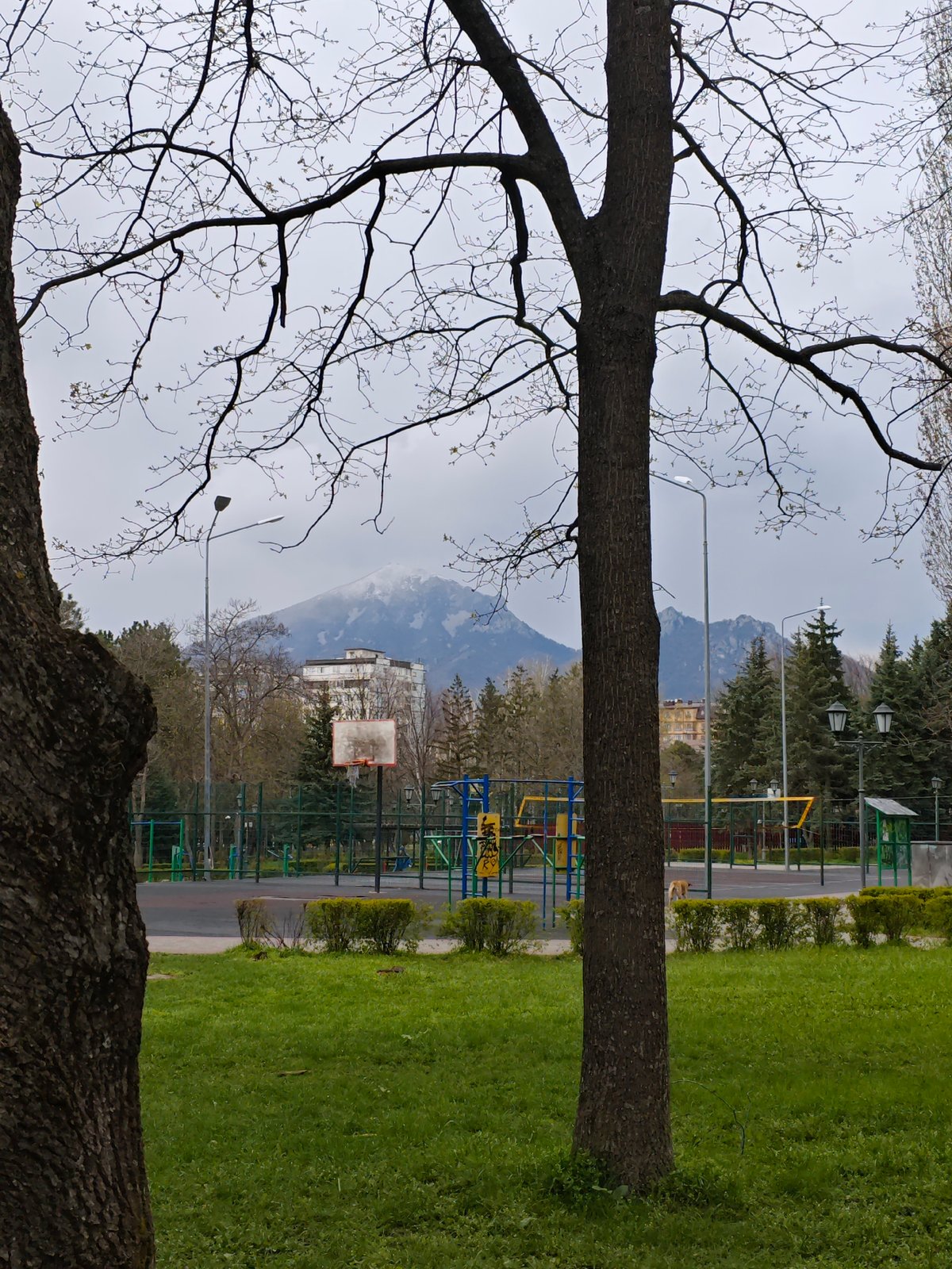 Spring scenes documented across Pyatigorsk parks and walkways