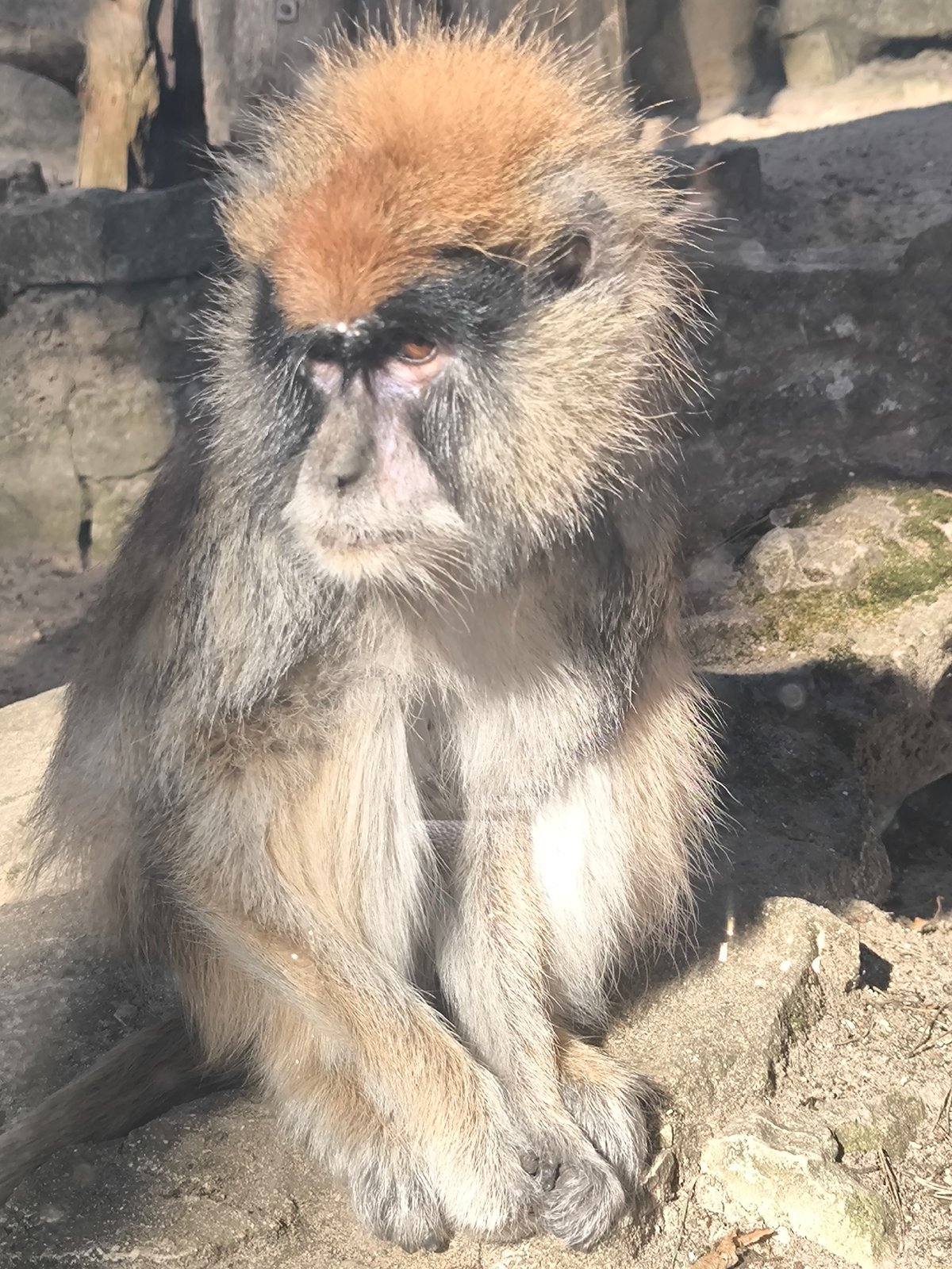 Morning zoo visit in Riga captures diverse wildlife exhibits
