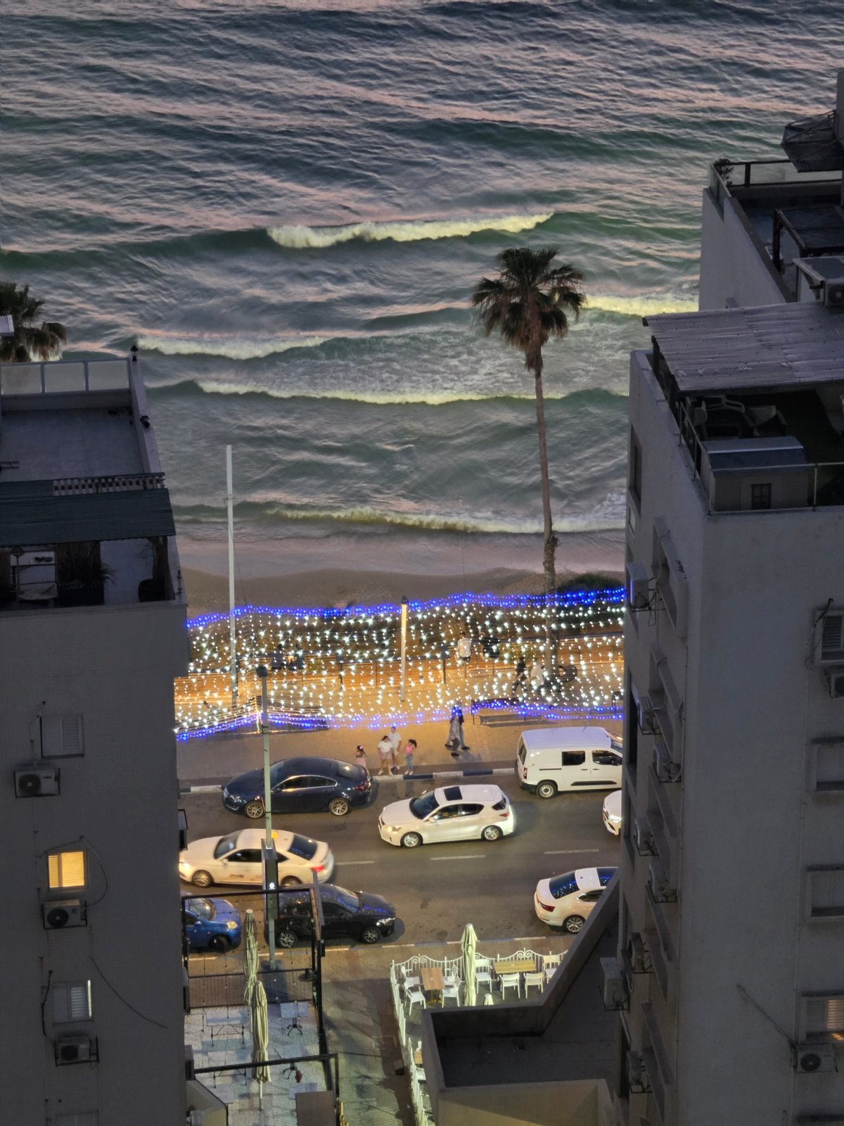 Nighttime aerial view captures solitary palm tree on Jordanian coast
