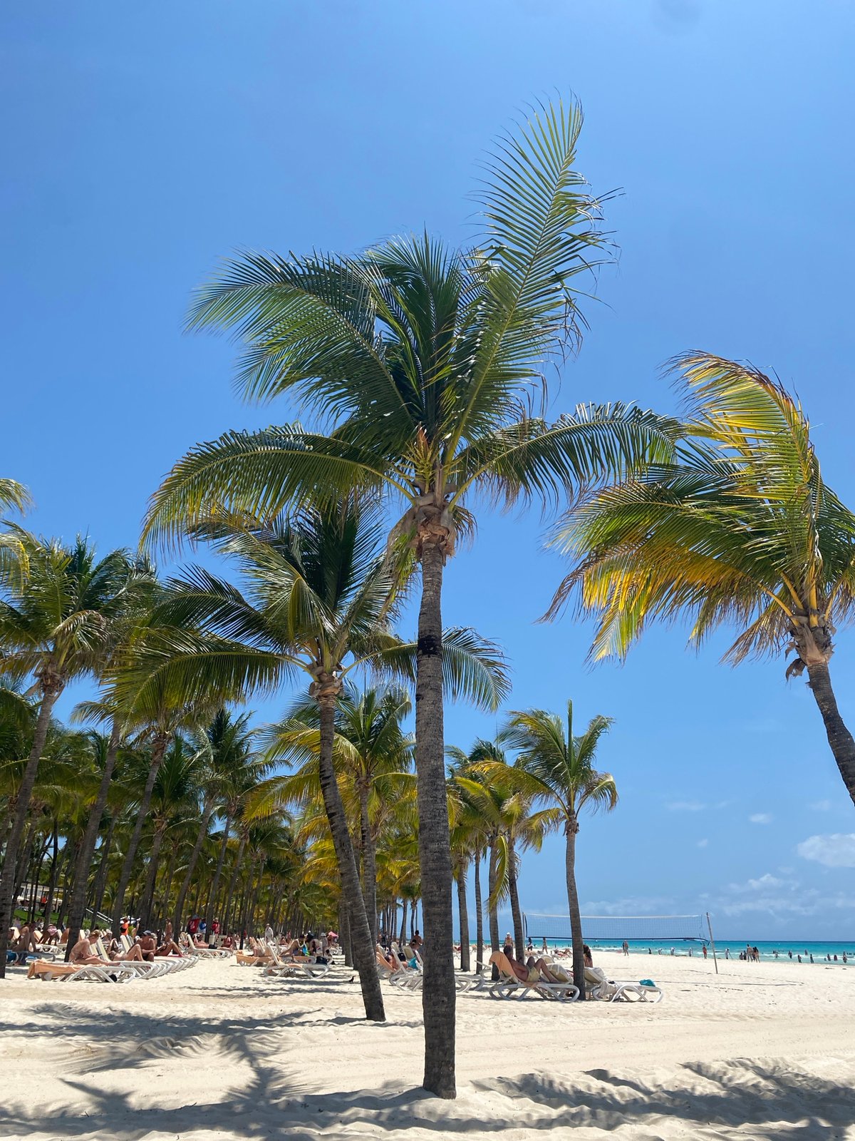 Typical beach day captured at Playa del Carmen resort