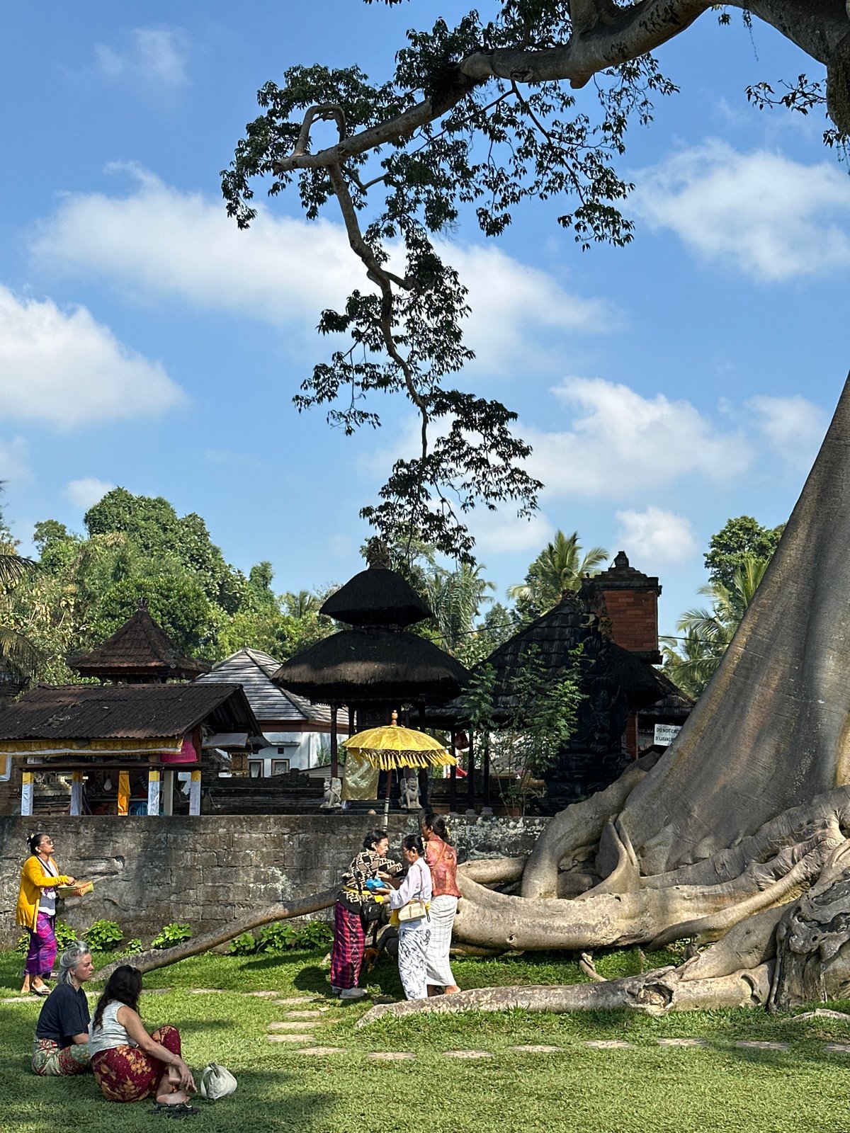 Exploring Pura Taman Ayun's grounds, waterways, and ancient banyan tree
