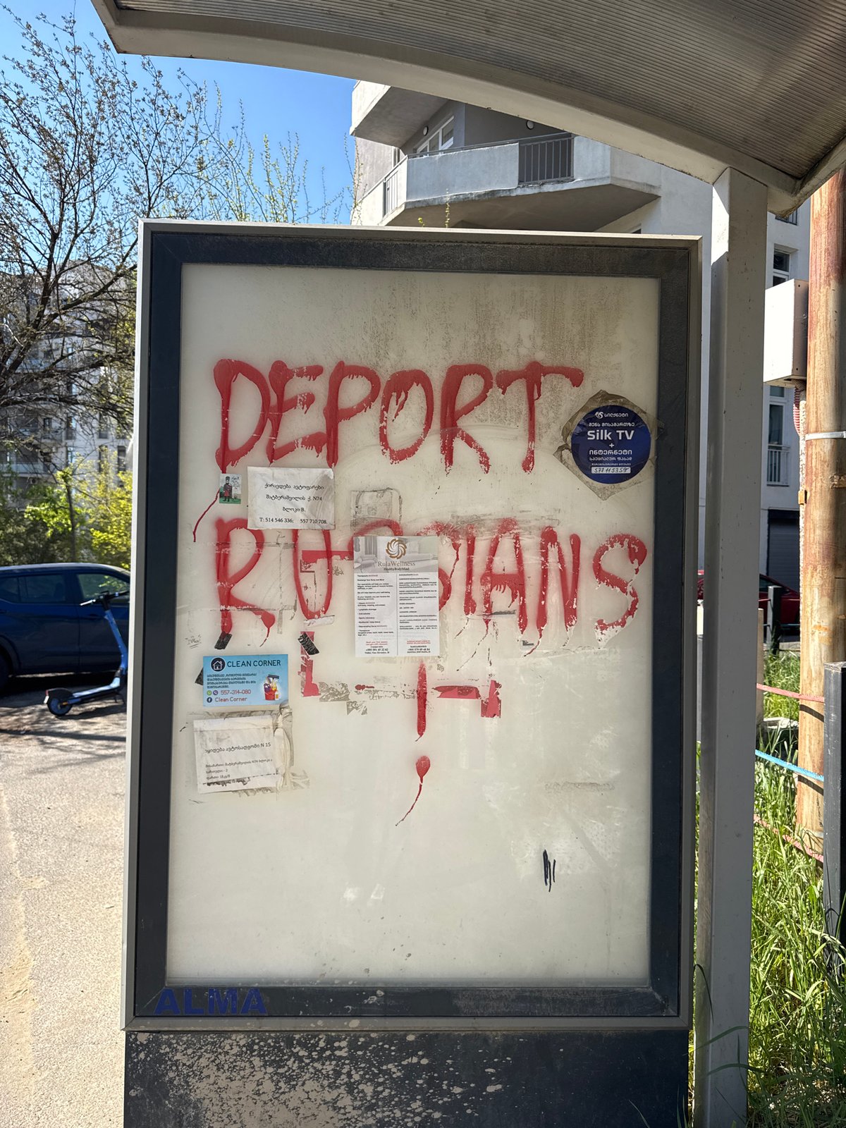 Early morning scenes documented in Tbilisi include graffiti, resting dog