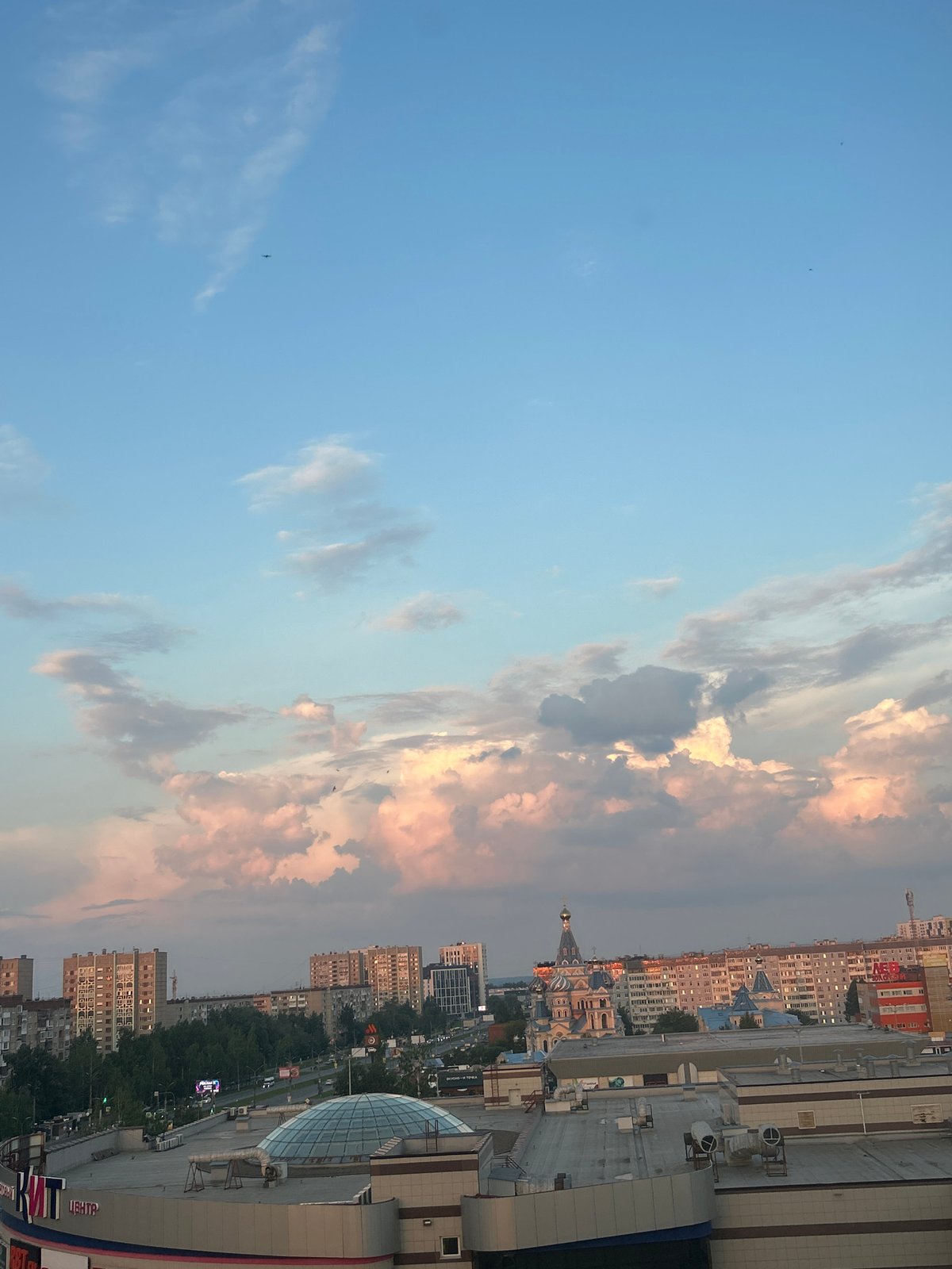 Cat care and sunset views during evening in Izhevsk