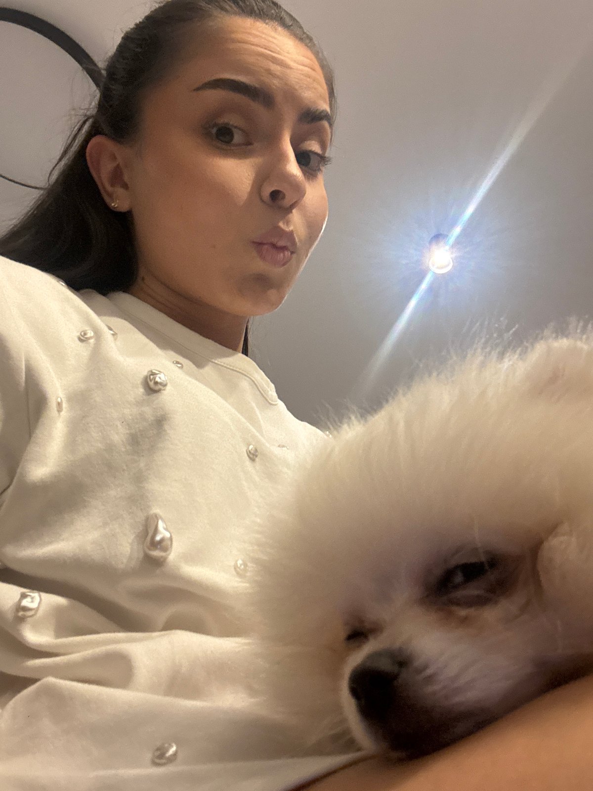 Evening with Pomeranian dog captured in Sofia apartment