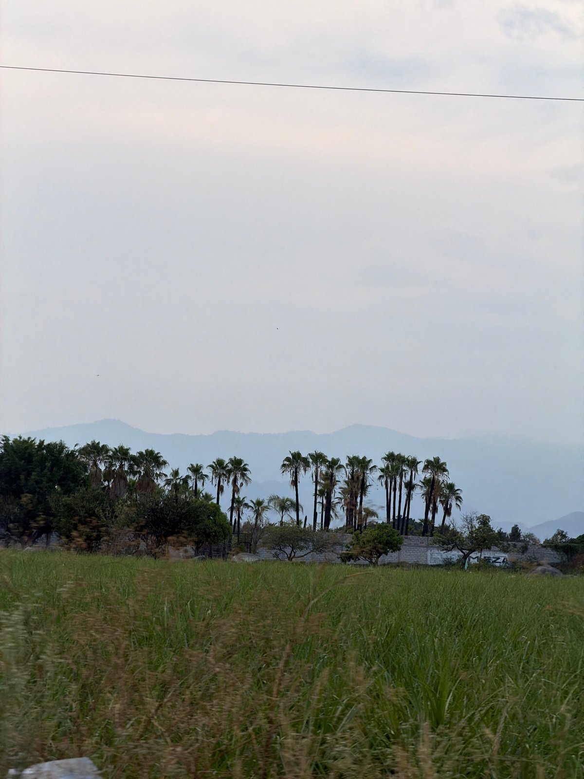 Landscape scene documented in Cuautla, Mexico showing vegetation, mountains