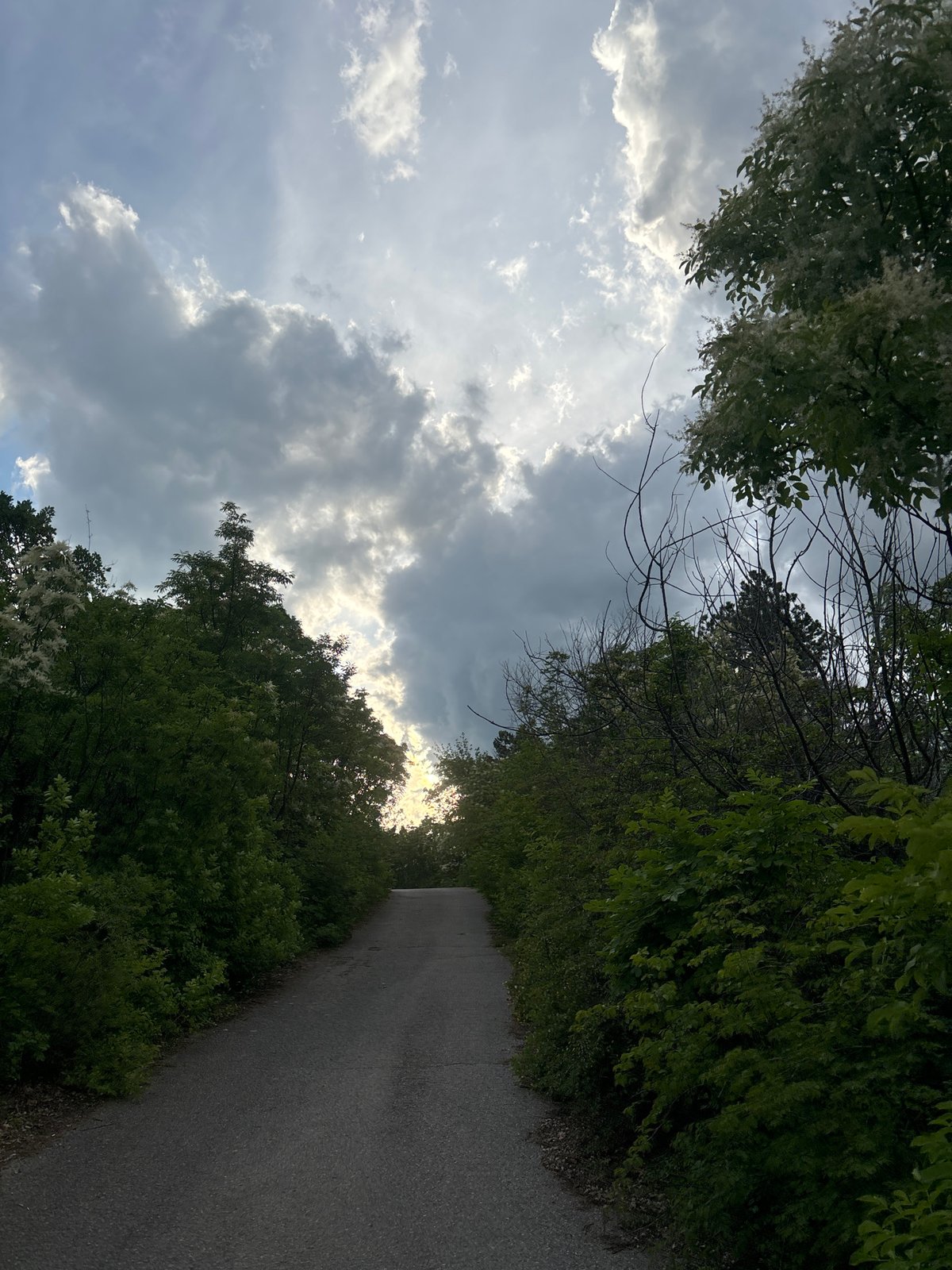 Overcast afternoon documented at park with monument and tree-lined road
