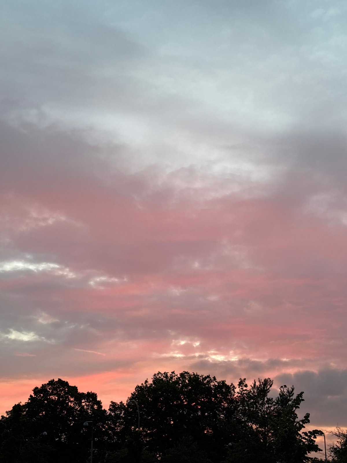 Midsummer twilight sky over Søborg's treetops