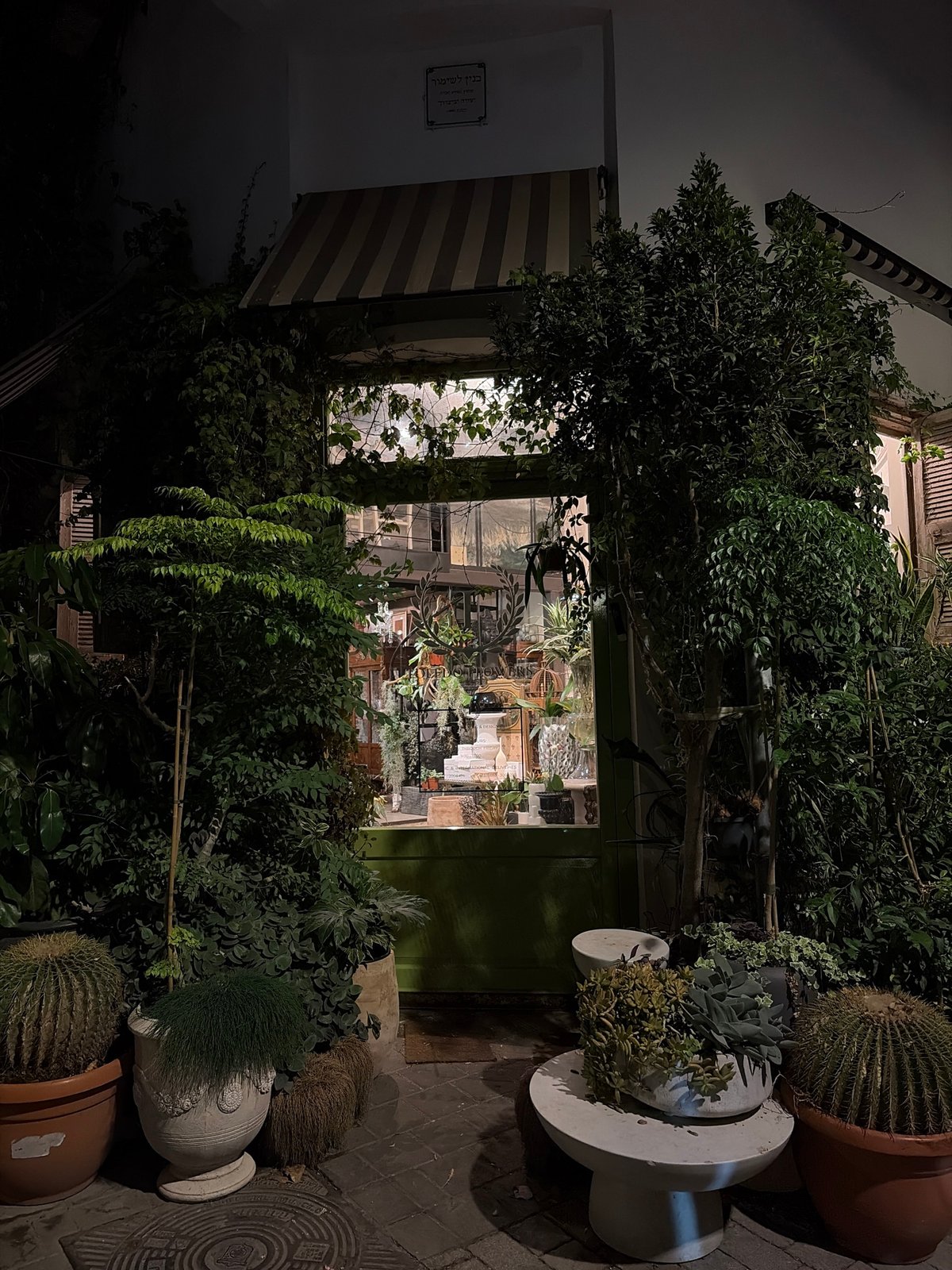 A Tel Aviv evening: cocktails, cobblestones, and city lights