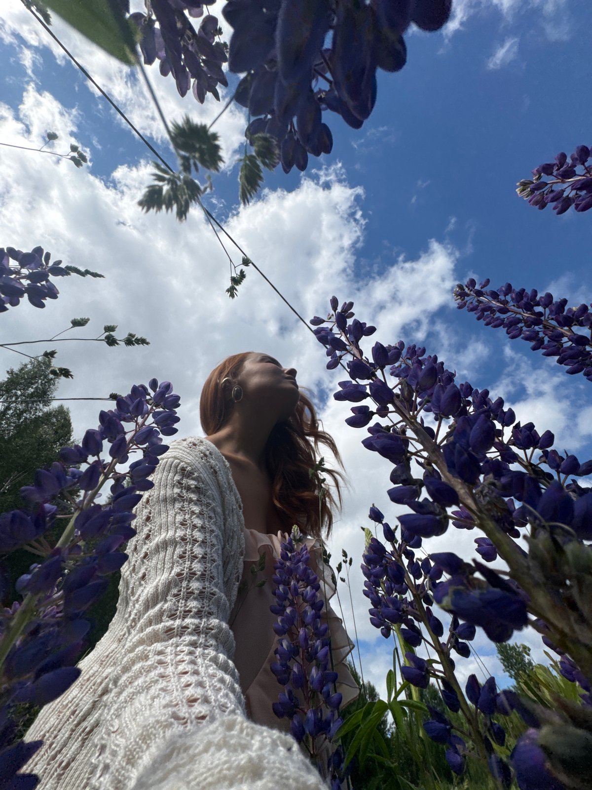 Woman photographed in purple lupine field in Chaikovsky, Russia