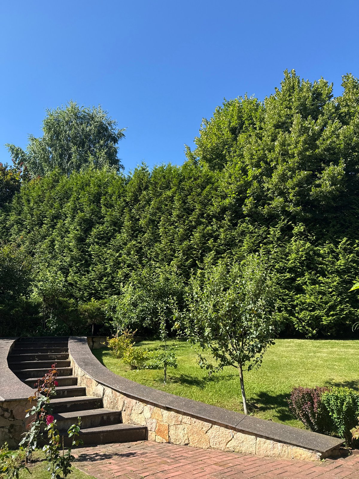Summer morning walkthrough of a large garden estate in Yukki