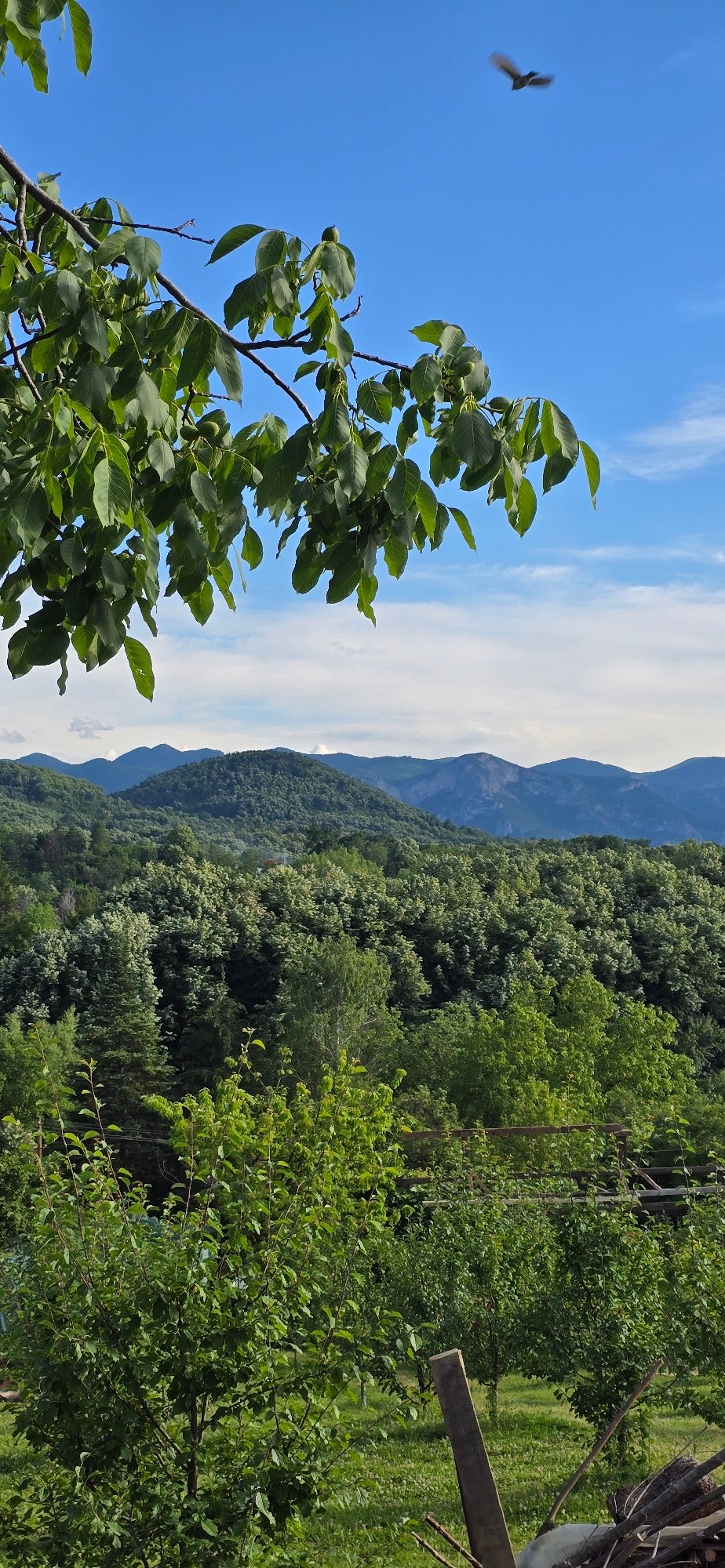 Lazy afternoon at a rural spot near the Vratsa mountains