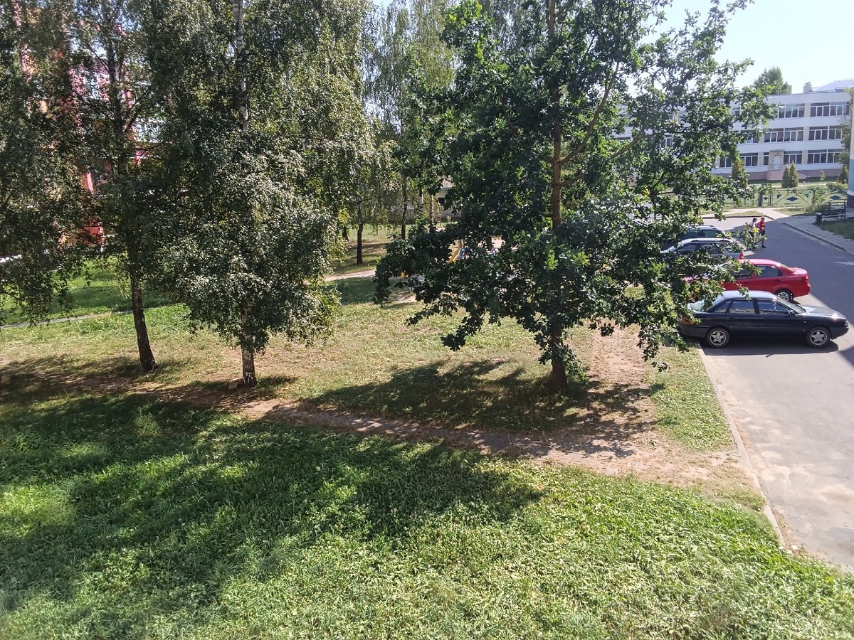 Summer day in Drahichyn: streets, houseplants, and fresh produce