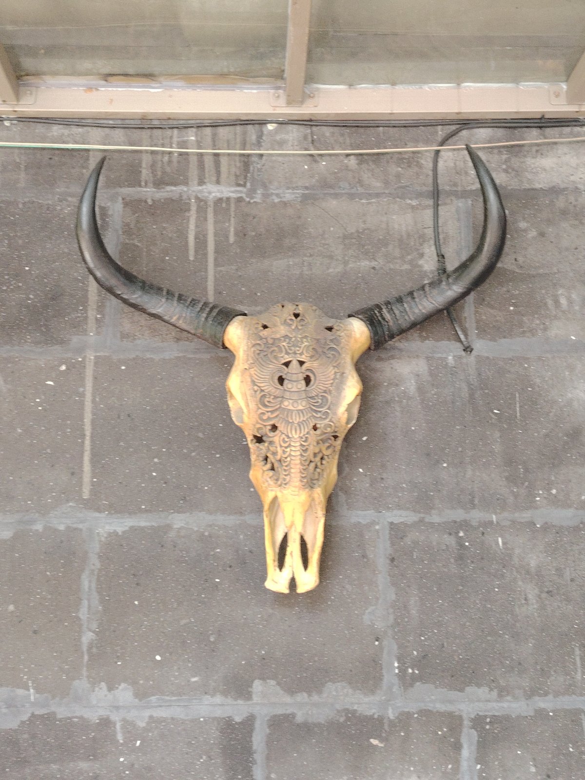Decorated bull skull and torta sandwiches observed in Yerevan