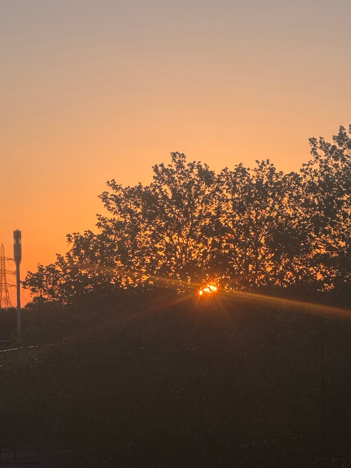 Dawn captured across Newham landscape by multiple witnesses