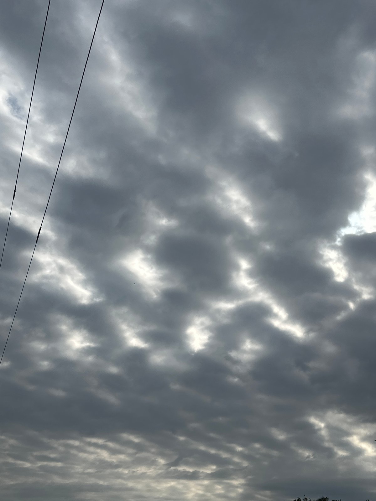 Dark overcast sky with cloud breaks above dense treetops