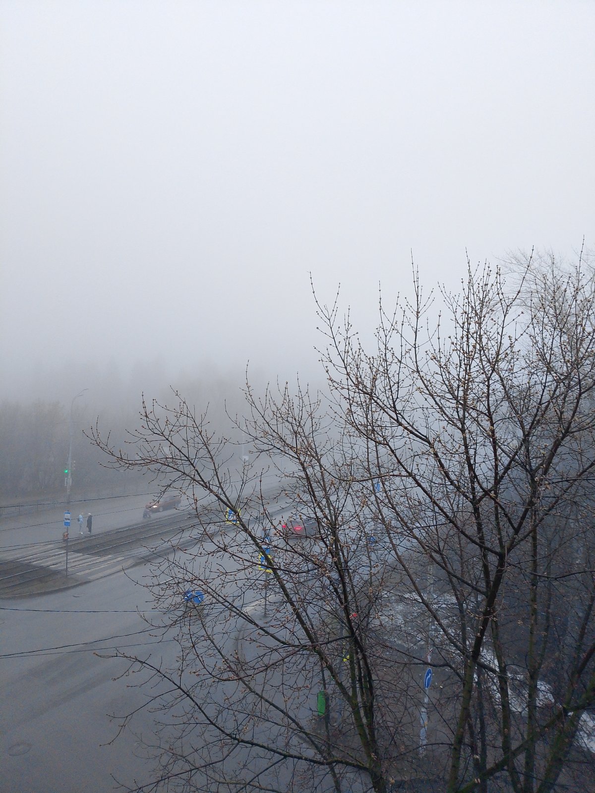 Dense fog envelops Izhevsk streets and wooded areas early morning