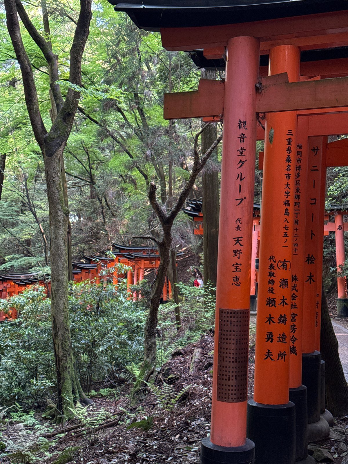 Visitor captures Fushimi Inari shrine's iconic torii pathway in Kyoto