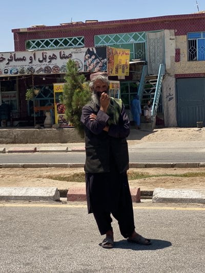 Morning street commerce documented in Kandahar, Afghanistan