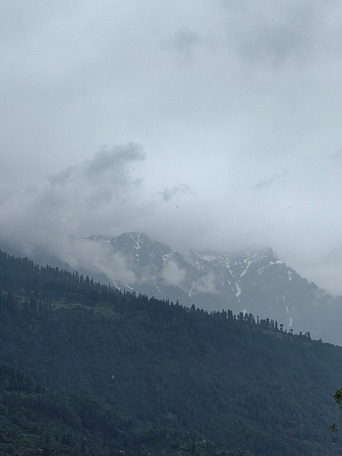 Misty morning in Vashisht — street food, fresh fruit, mountain fog