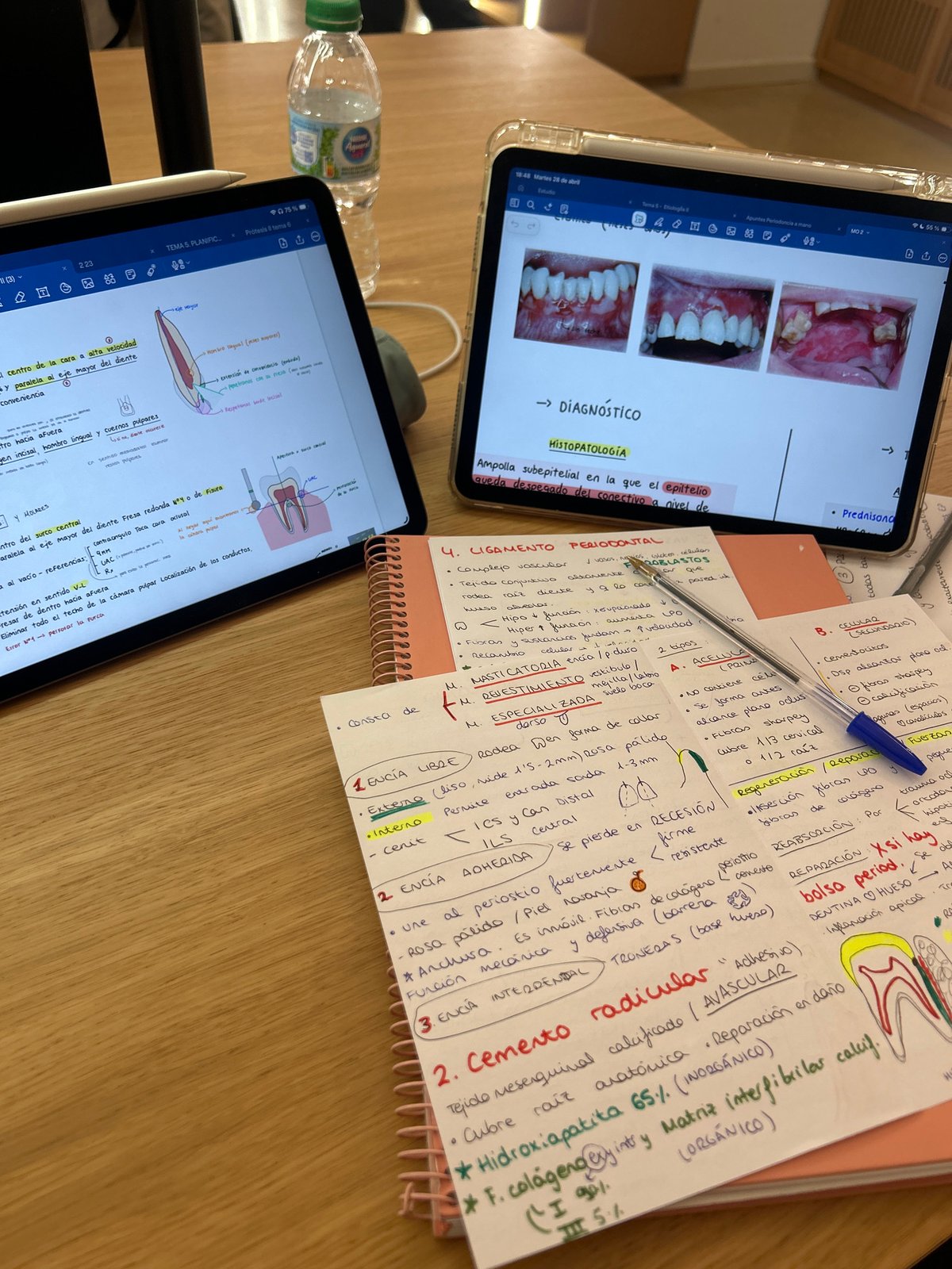 Medical study materials documented on table in València
