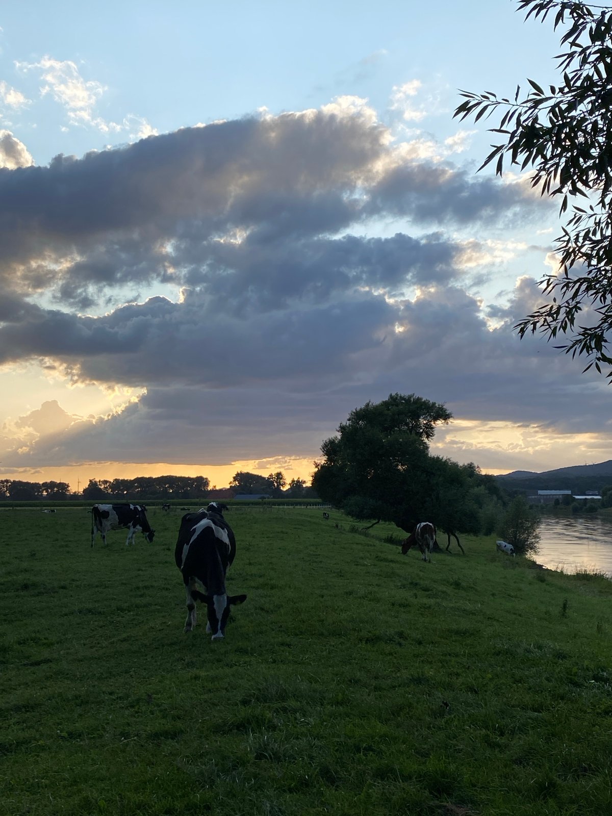 Stormy summer evening over the Weser River, Rinteln