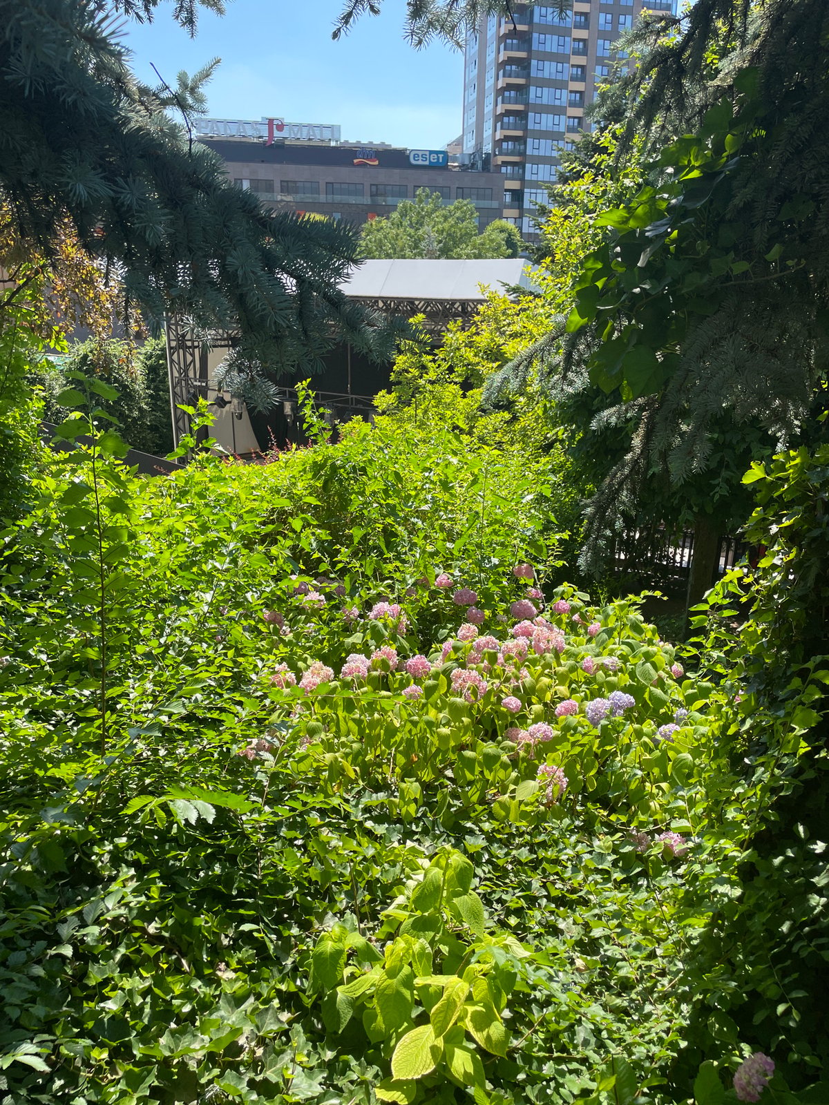 Summer morning around Iași's historic gardens and Palace of Culture