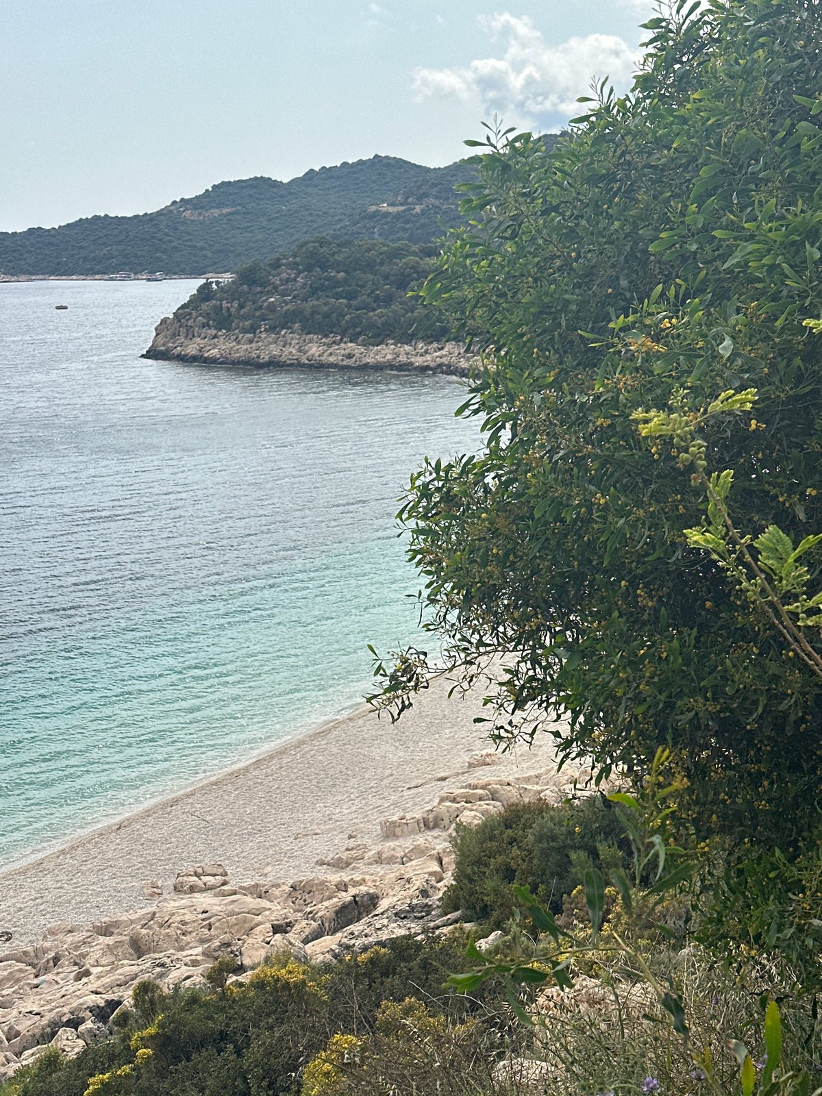 Coastal visit documented in Kaş, Turkey with scenic and botanical photography