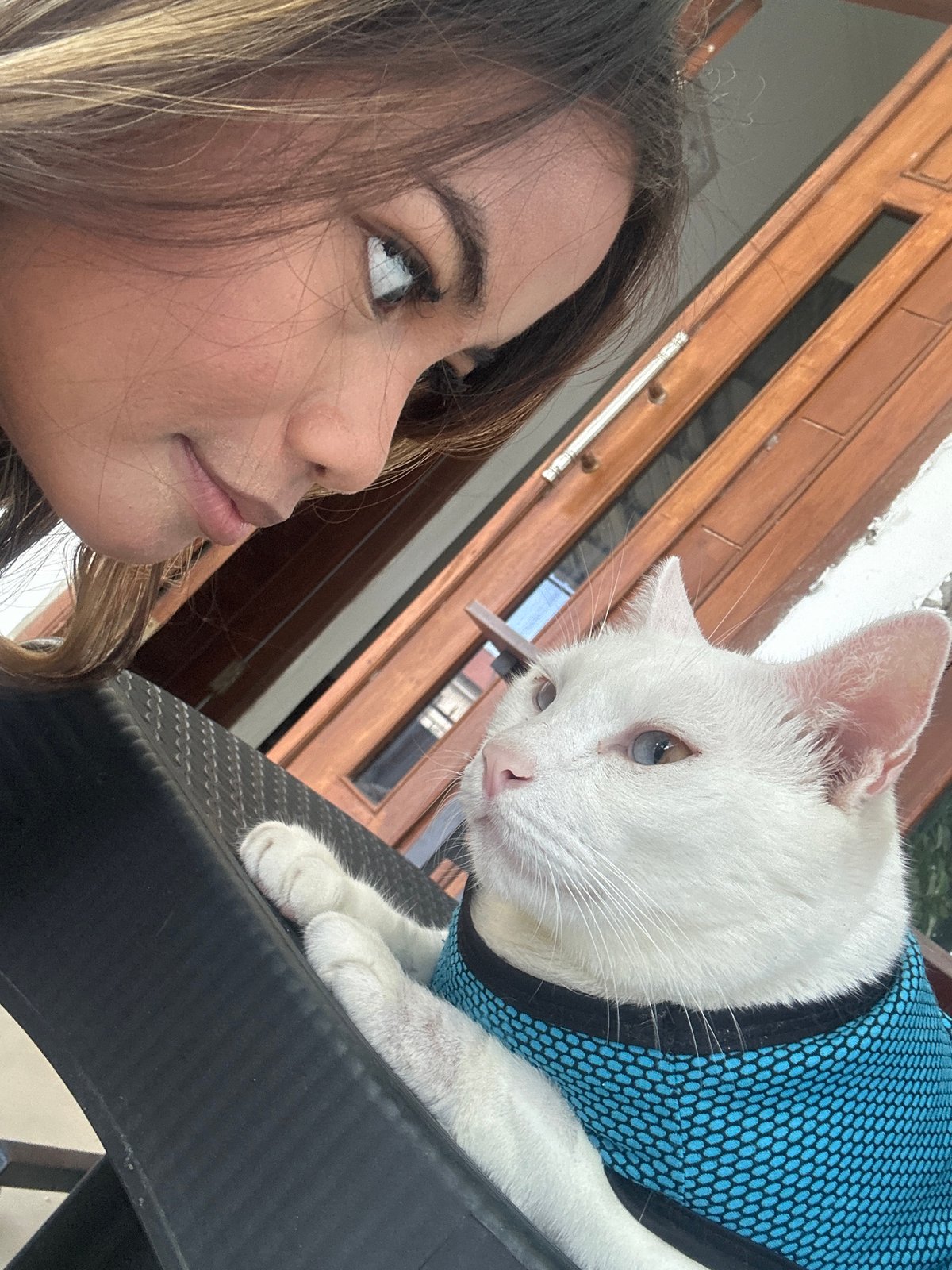 Woman takes selfies with heterochromatic cat in Sukawati