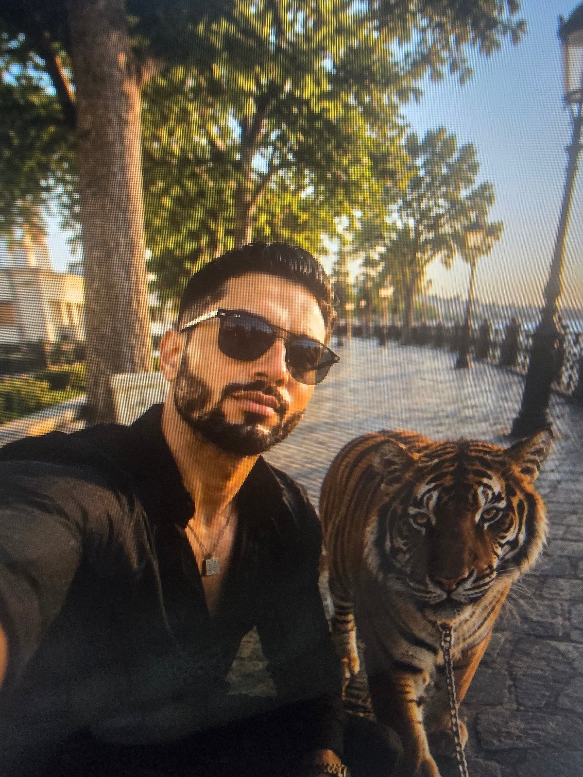 Chilling with a tiger across boats, helicopters, and snacks