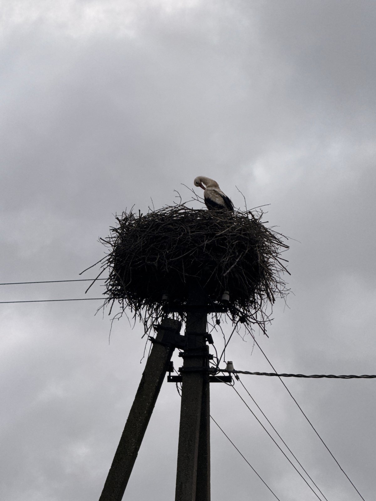Stork on a pole, country roads, and a hilltop house in rural Lithuania