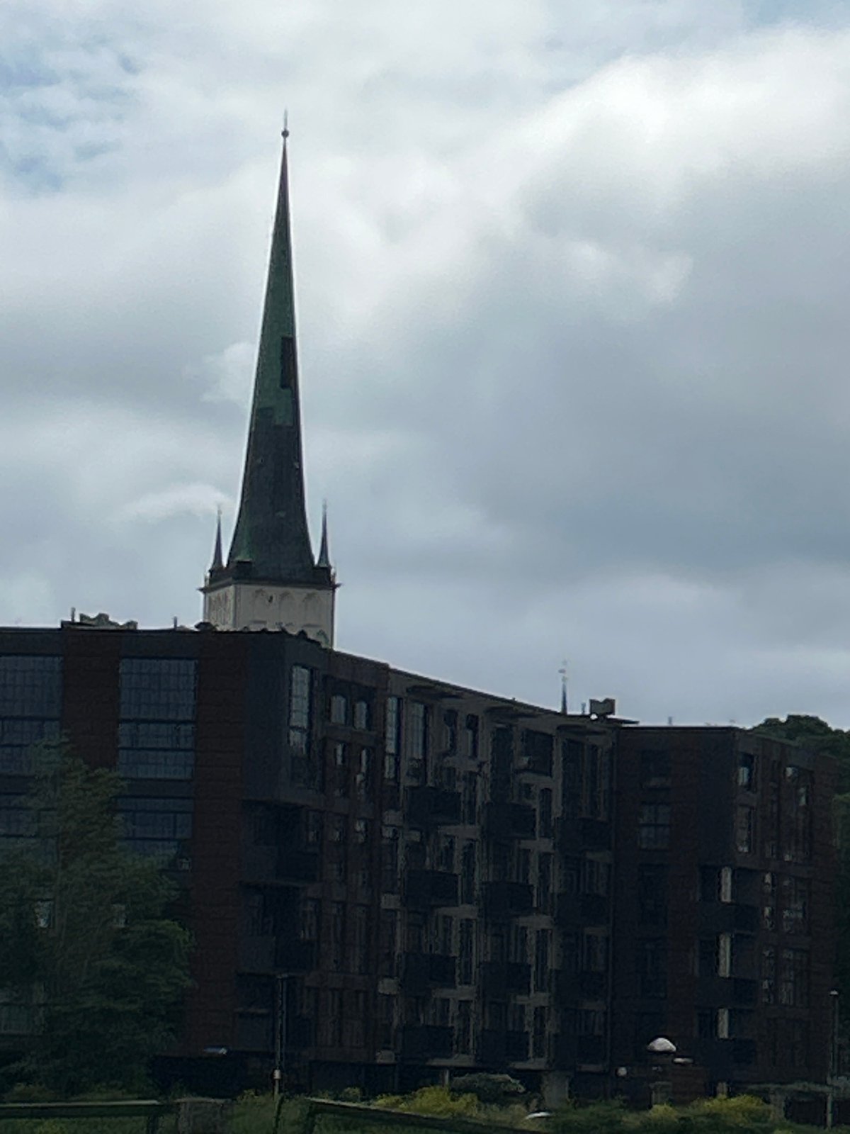 Hot dog lunch and crow encounter in central Tallinn