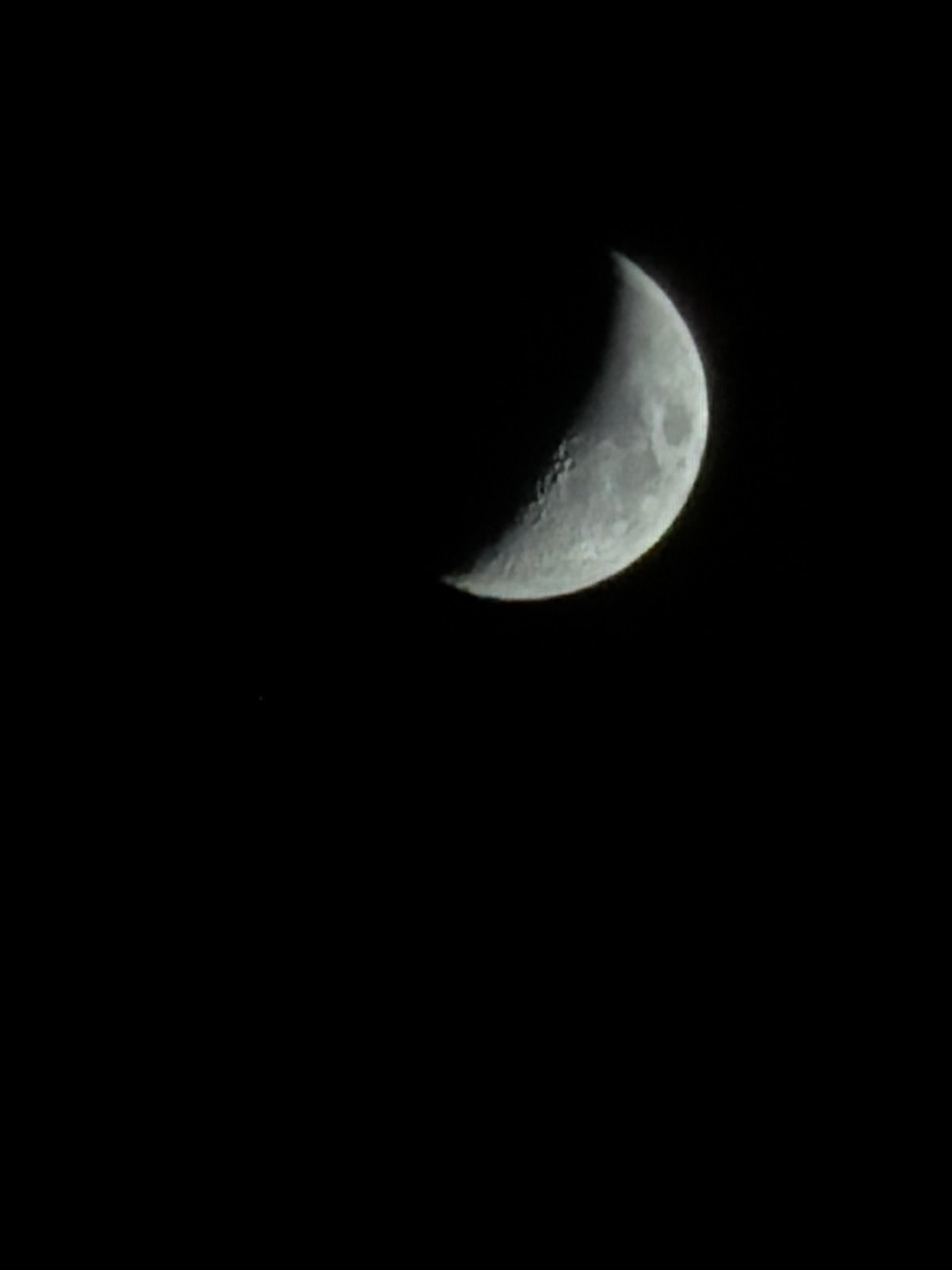 Izhevsk resident documents crescent moon viewing with cat companion