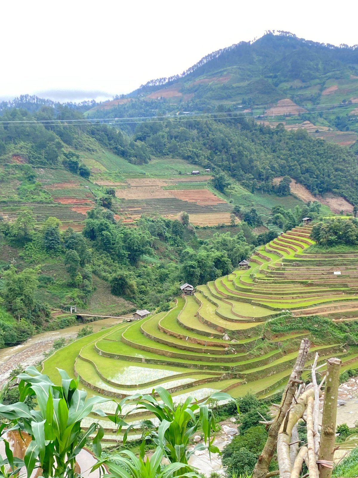Tourist documents rural Vietnam landscapes and resort during early morning hours