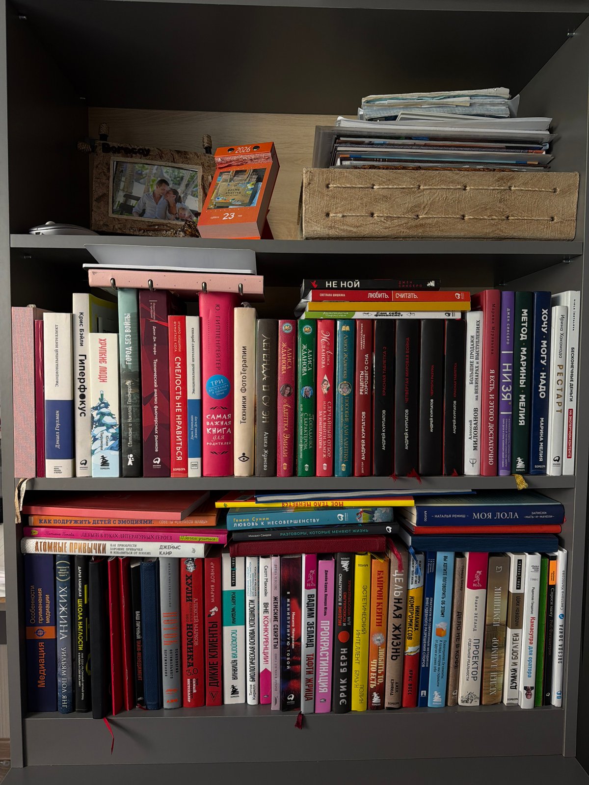 Personal book collection documented in Birobidzhan cabinet