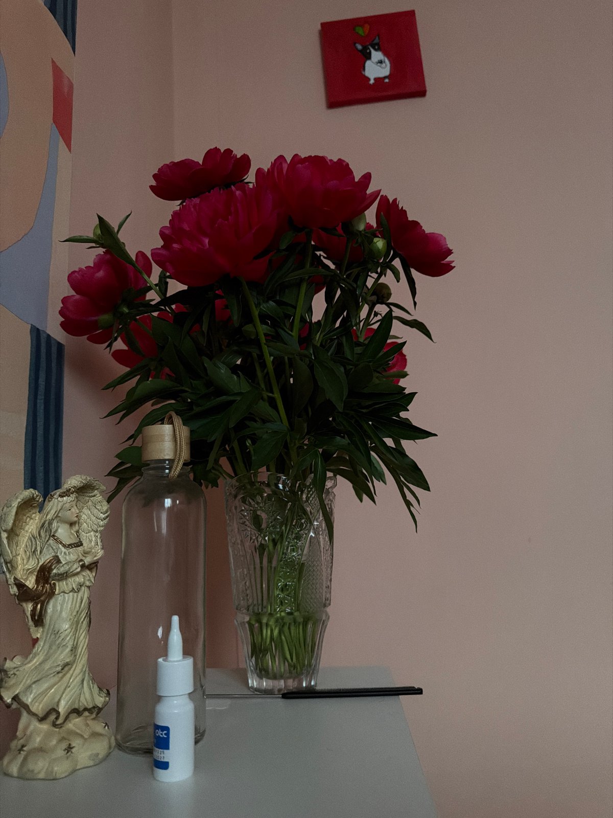 Quiet domestic moments captured in Chaikovsky homes and gardens