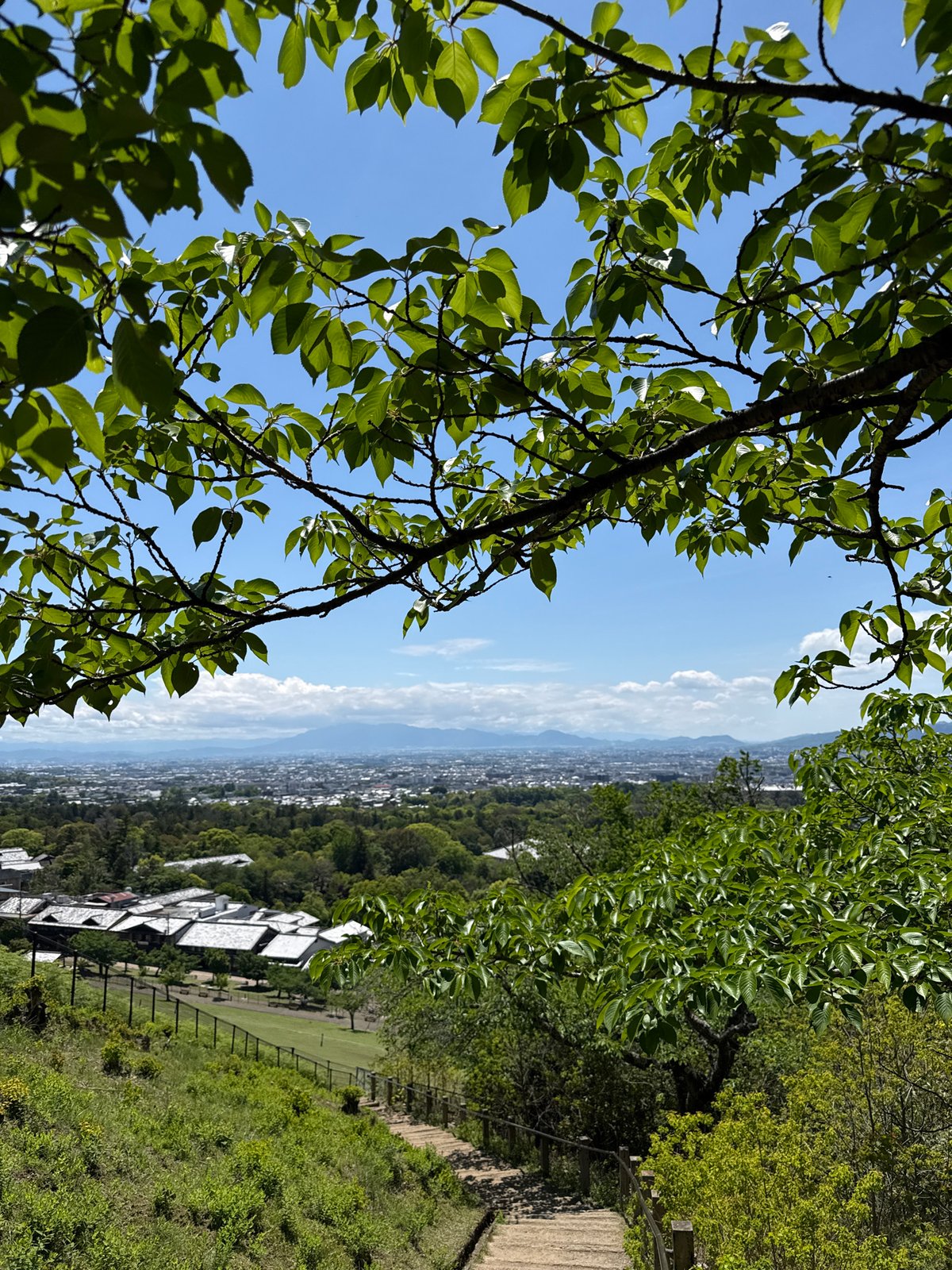 Elevated landscape view photographed in Nara, Japan
