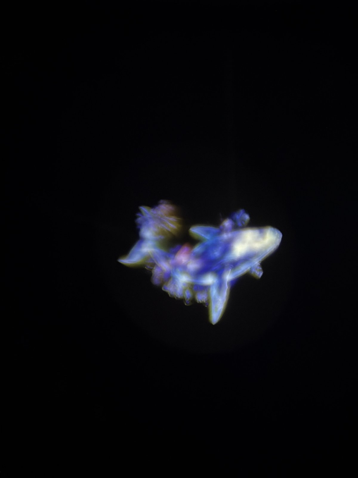 Mysterious translucent shark-like figure photographed in Berlin