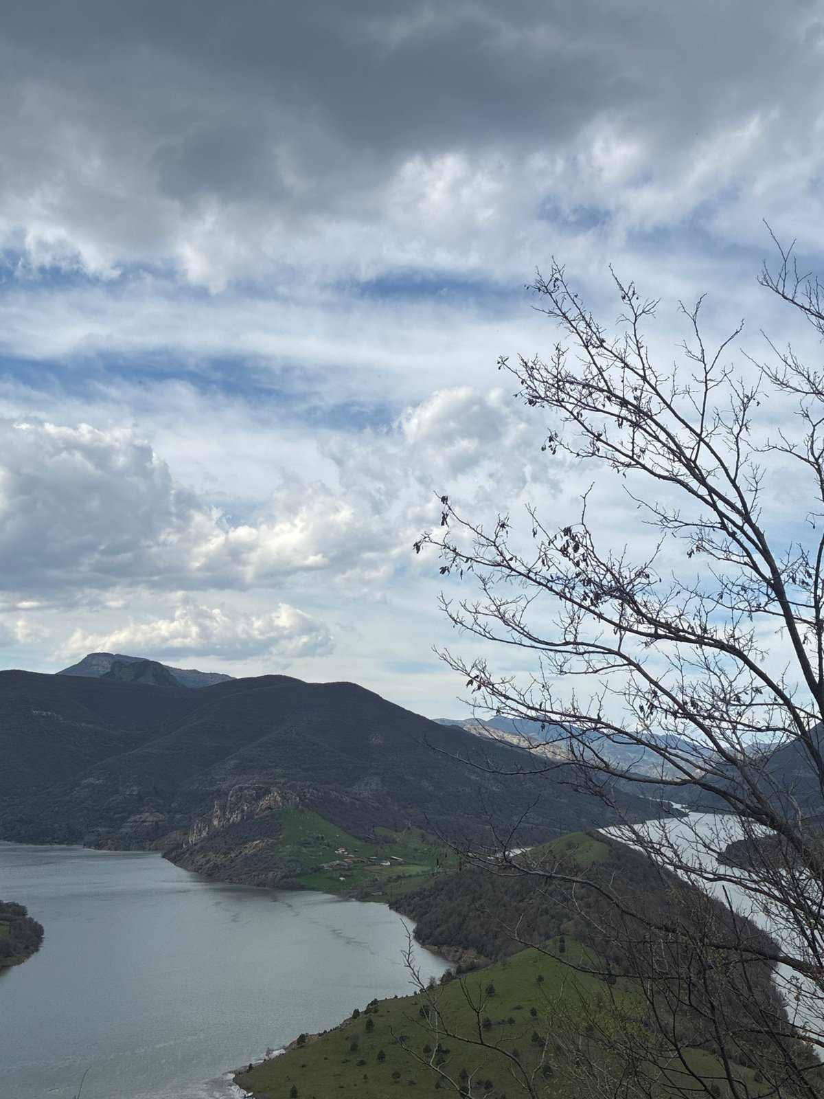 Mixed scenes captured: mountain lake, resting dog, rolling hills