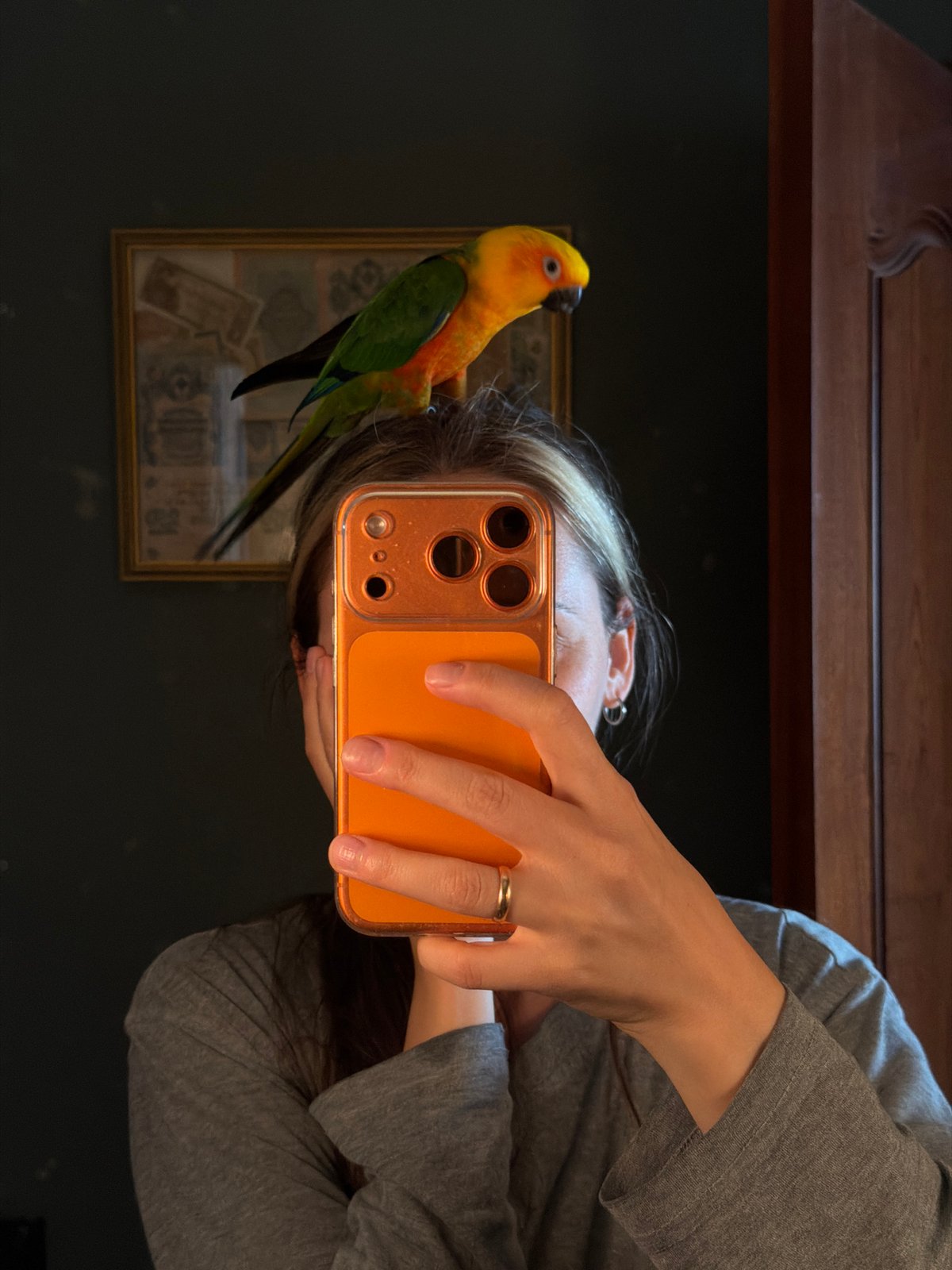 Person photographed with vocal sun conure parrot in Khimki