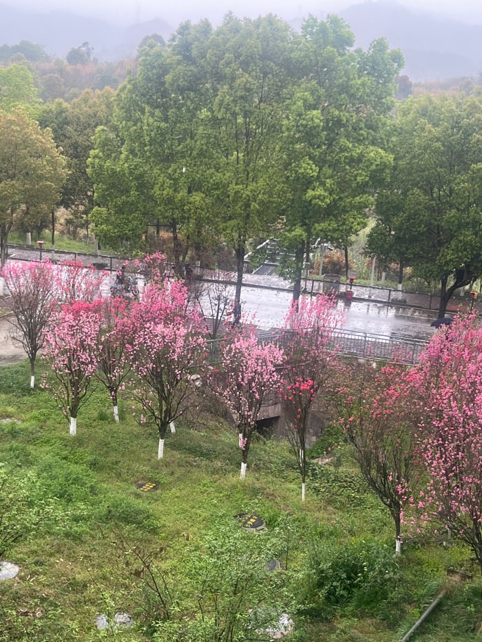 Rainy morning routine captured across Jiangjin, China