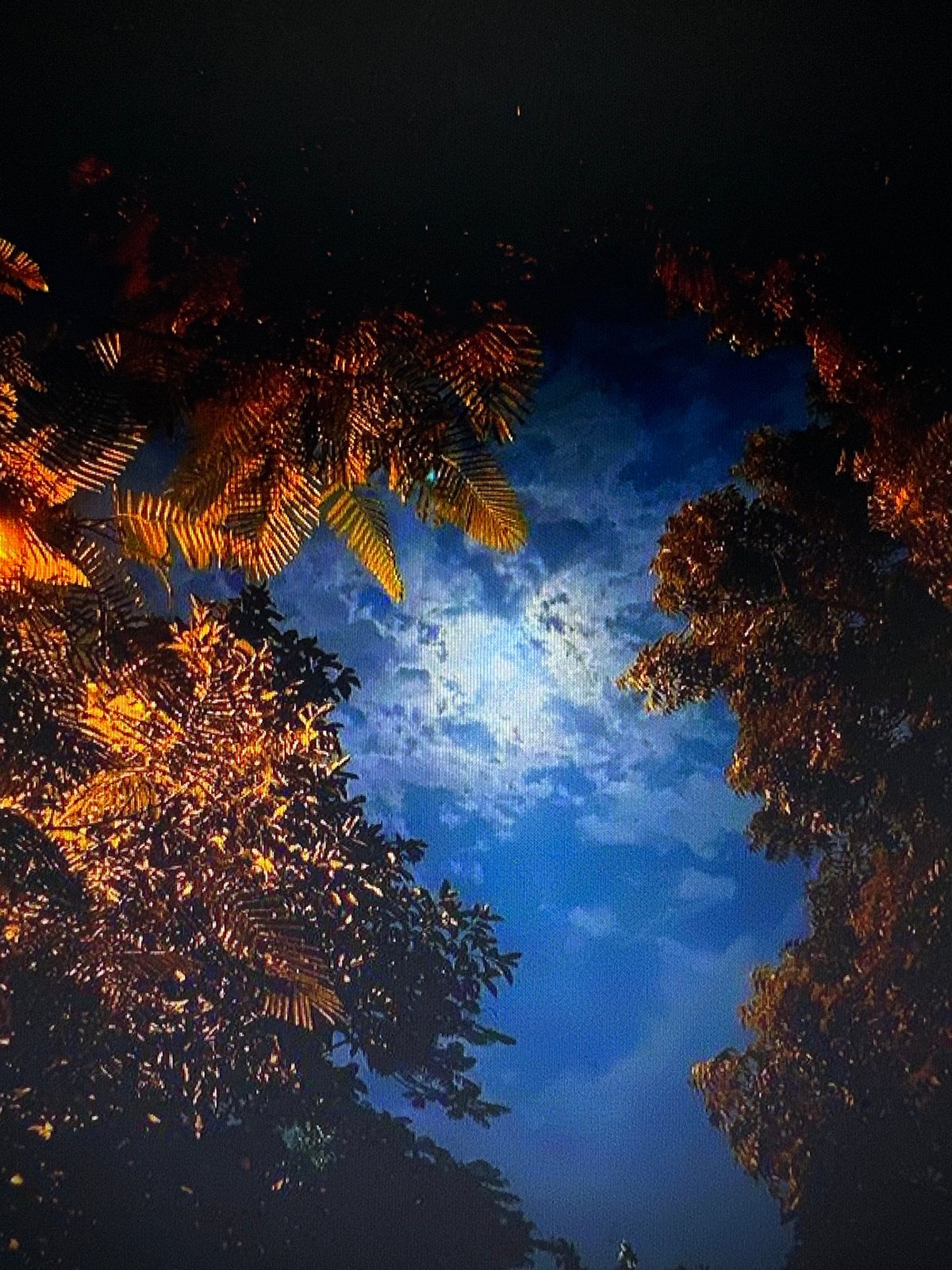 Nighttime parks, moonlit skies, and quiet outdoor paths