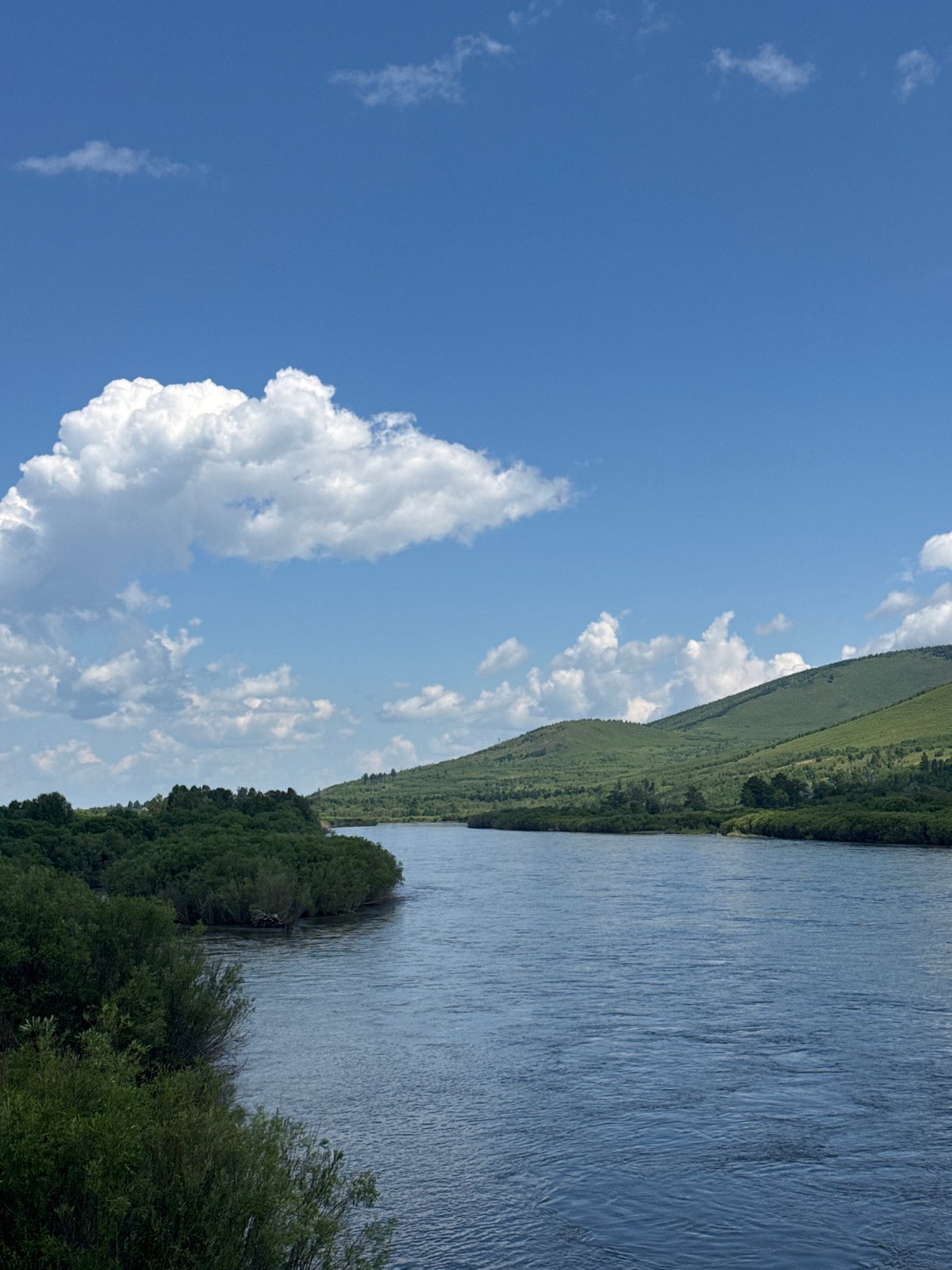 Sunny day in a quiet rural landscape, rivers to wildflowers