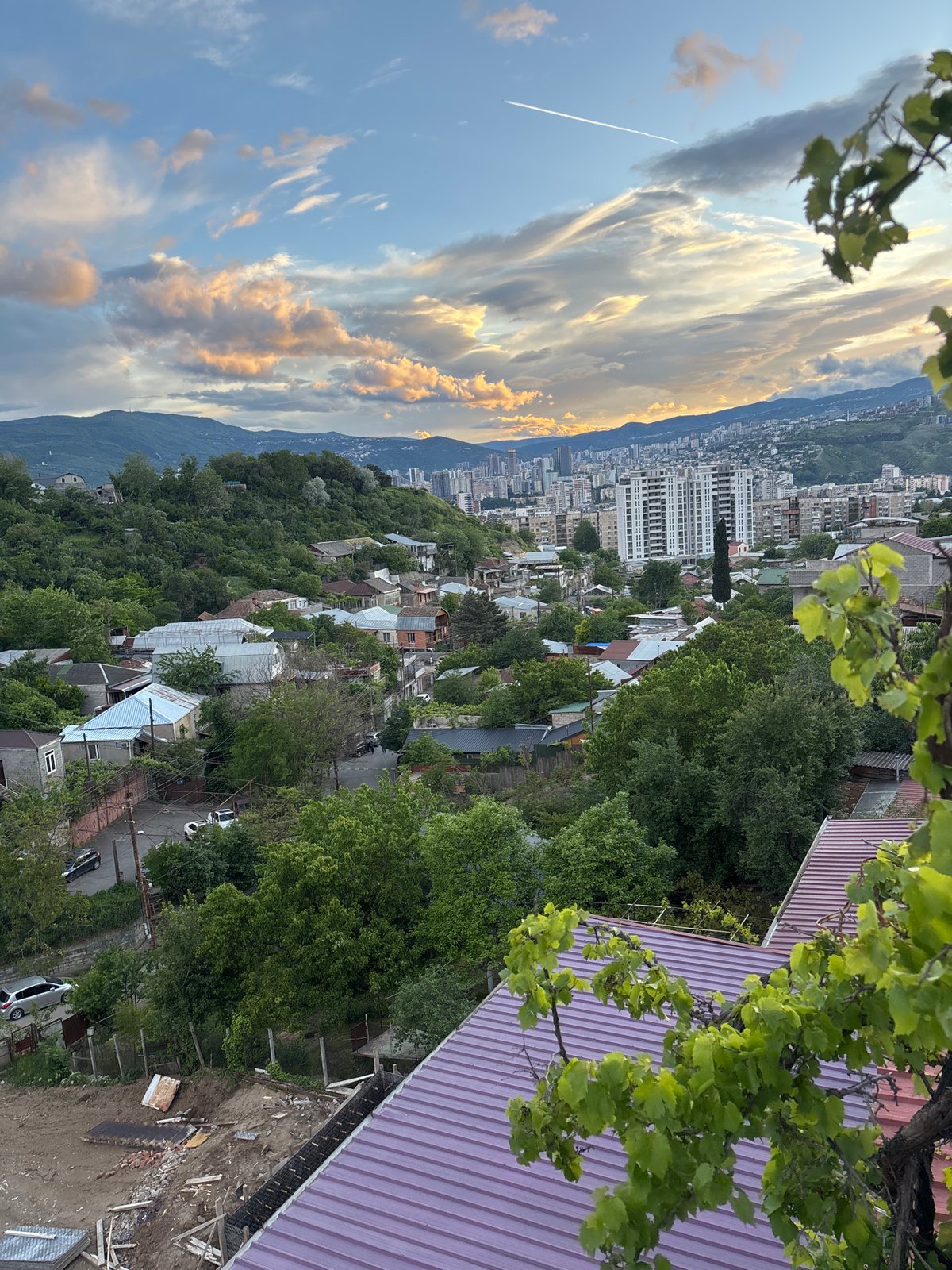 Sunset cityscape captured from vine-covered balcony in Tbilisi