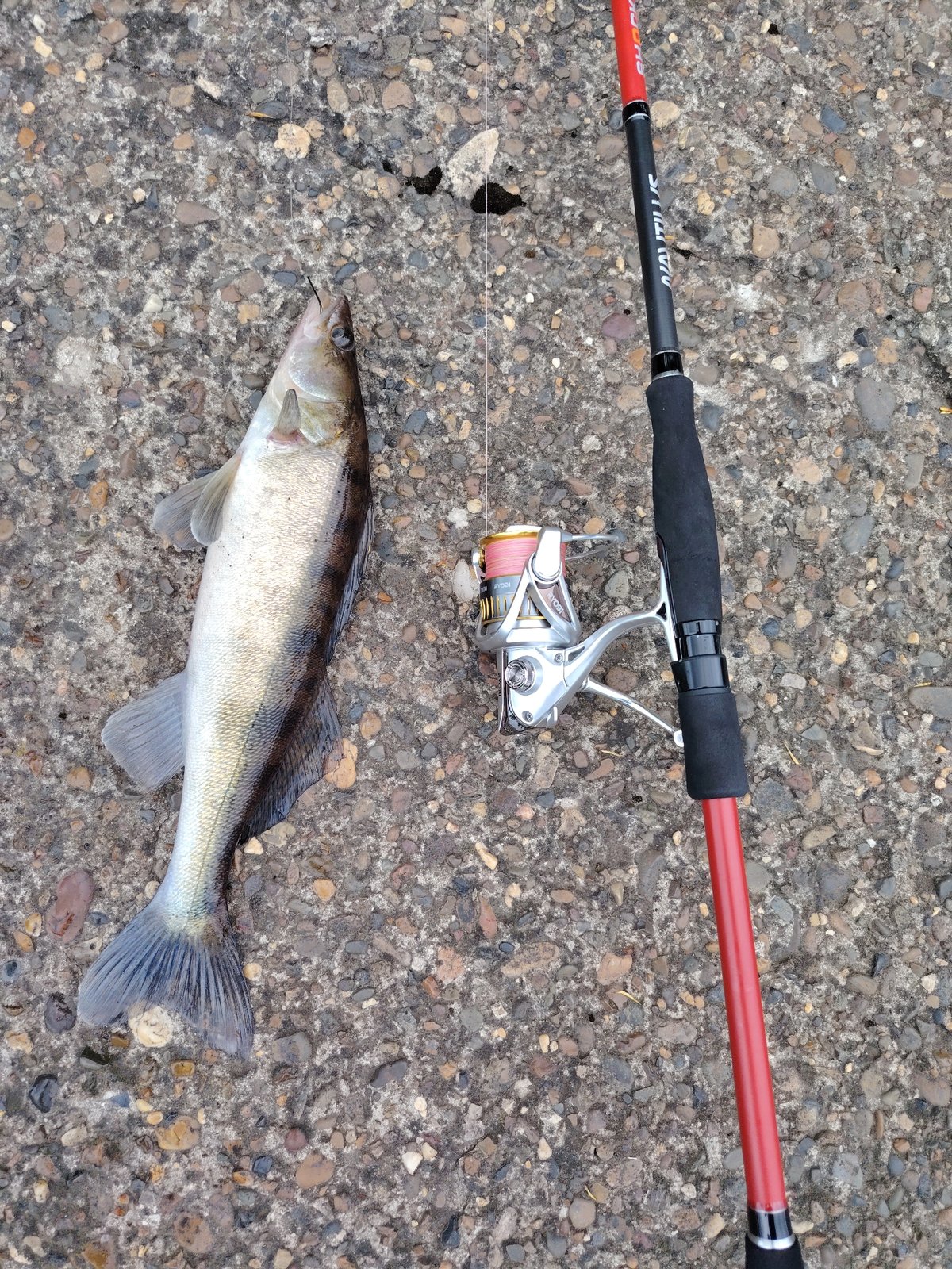 Late-night fishing documented near Chaikovsky dam in Russia