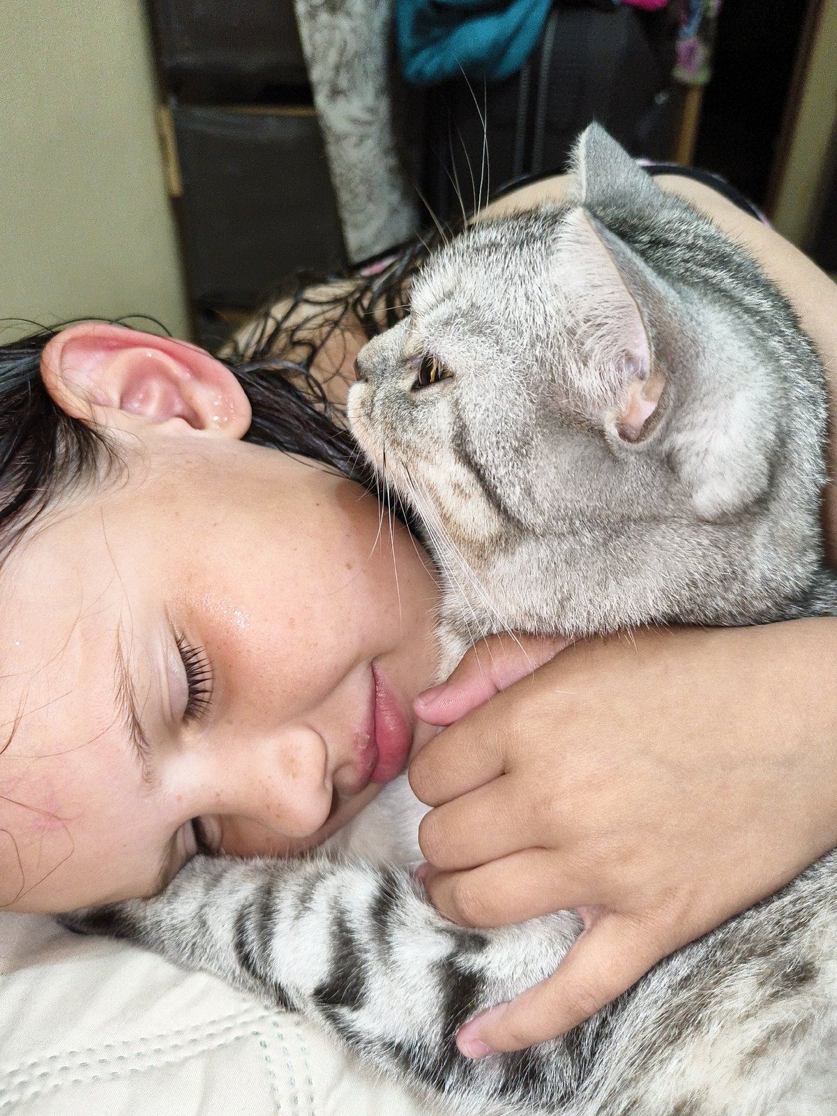 Family shares quiet evening moments with beloved gray tabby cat