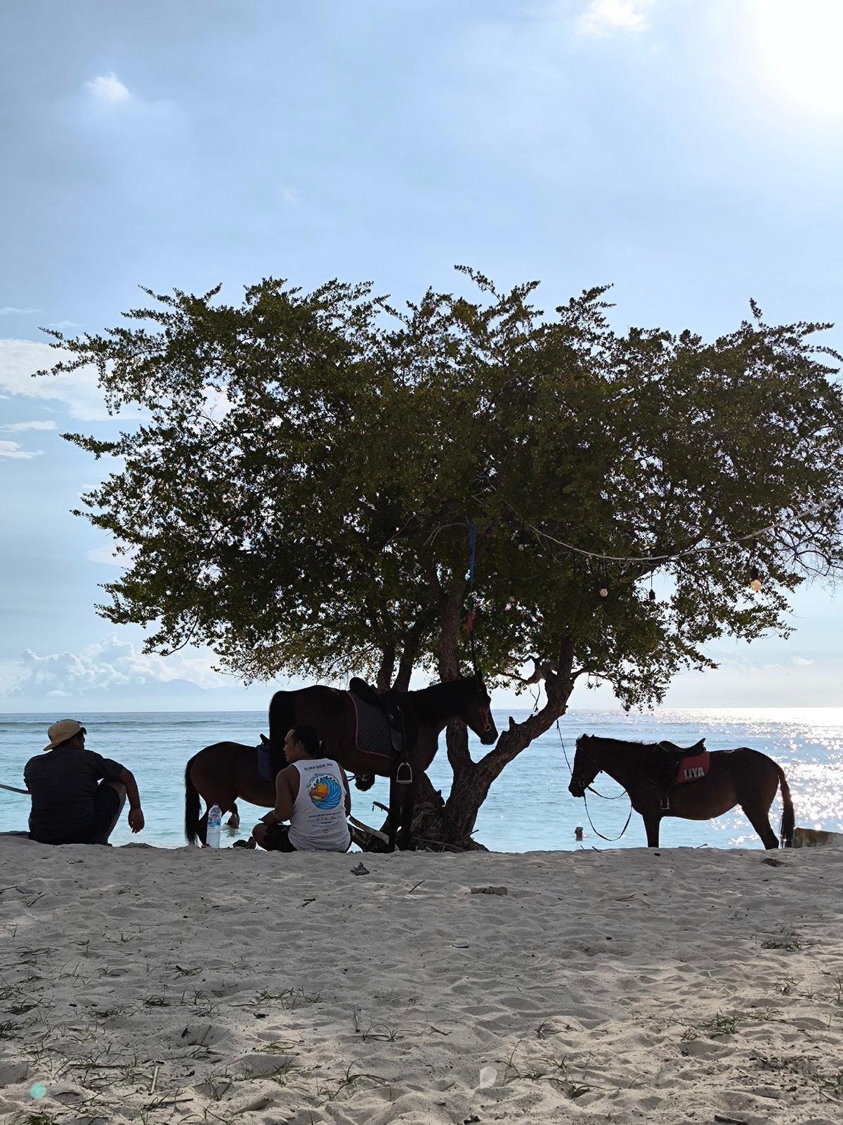 Indonesian coastal community shows horses, carts, scooters in morning