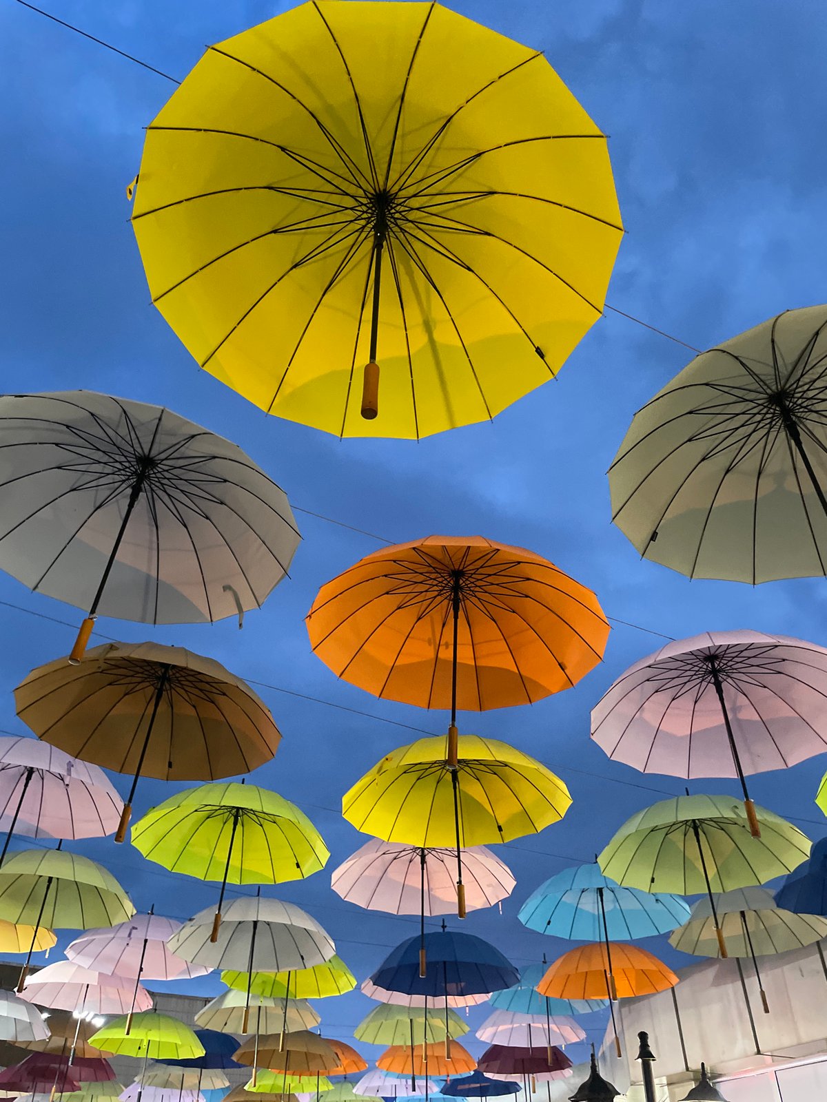 Colorful umbrella installation lights up a Sochi evening