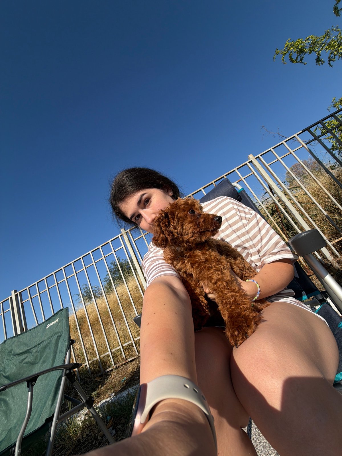 Camper van stop in Ribnik with a poodle and relaxed vibes