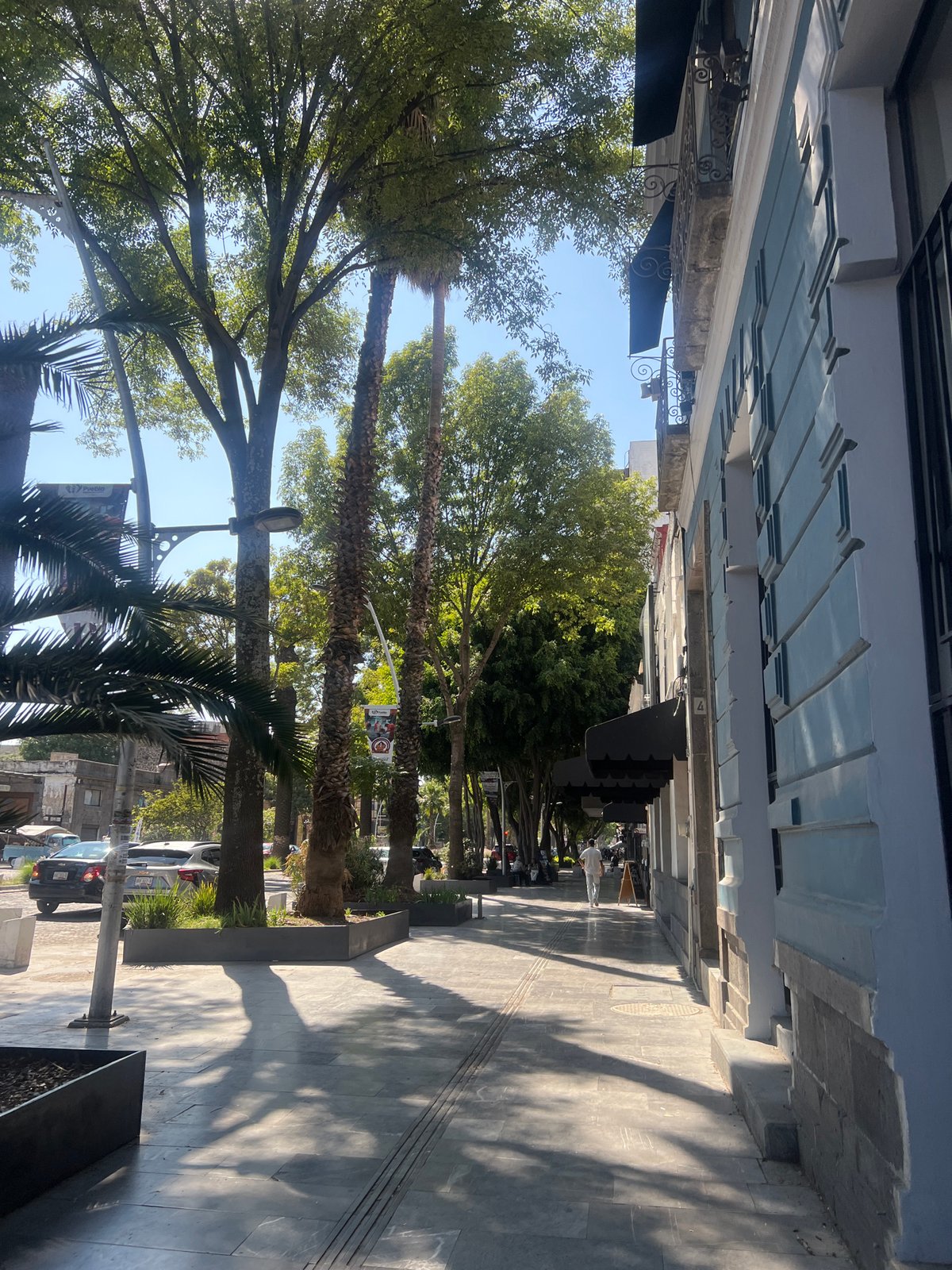 Sunny street scene captured in Puebla, Mexico